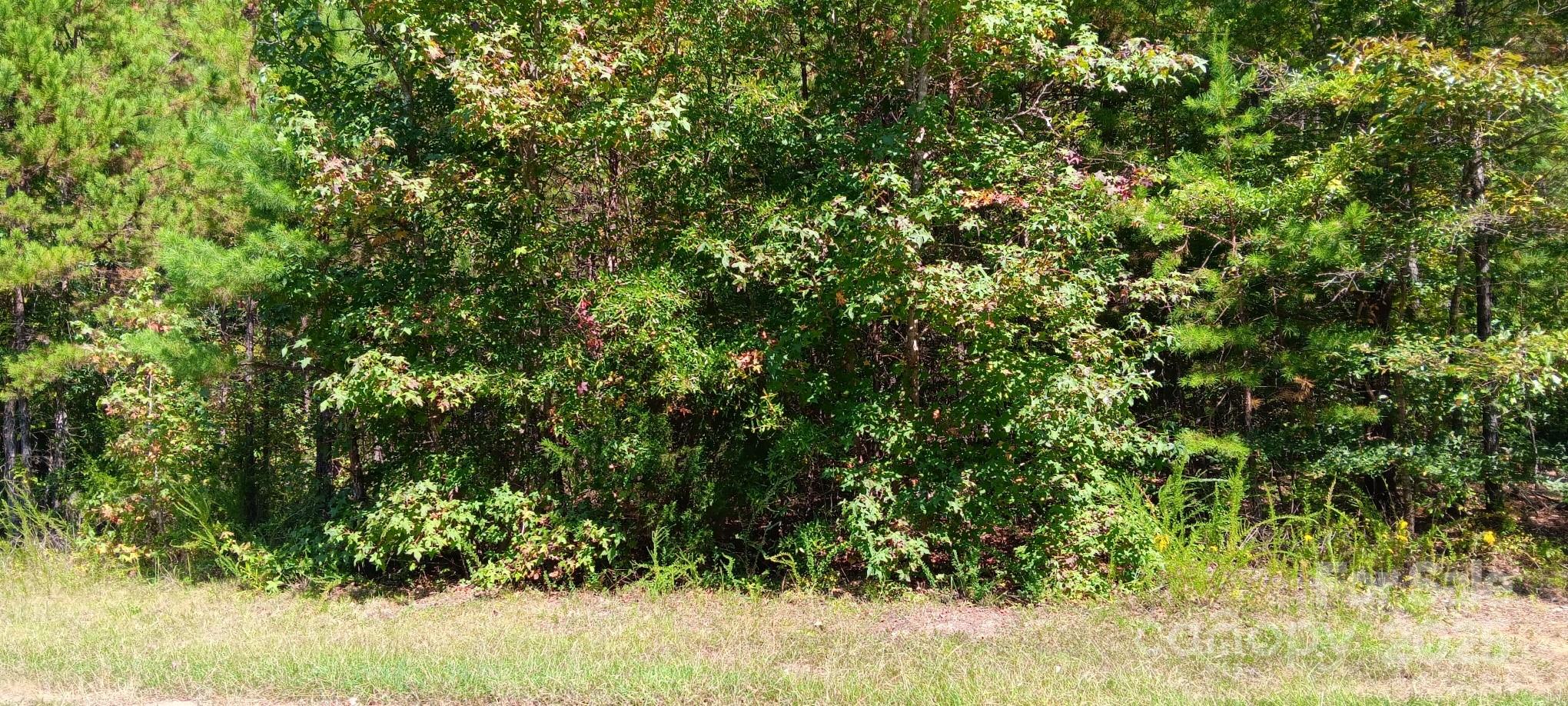 0 First Corriher Street