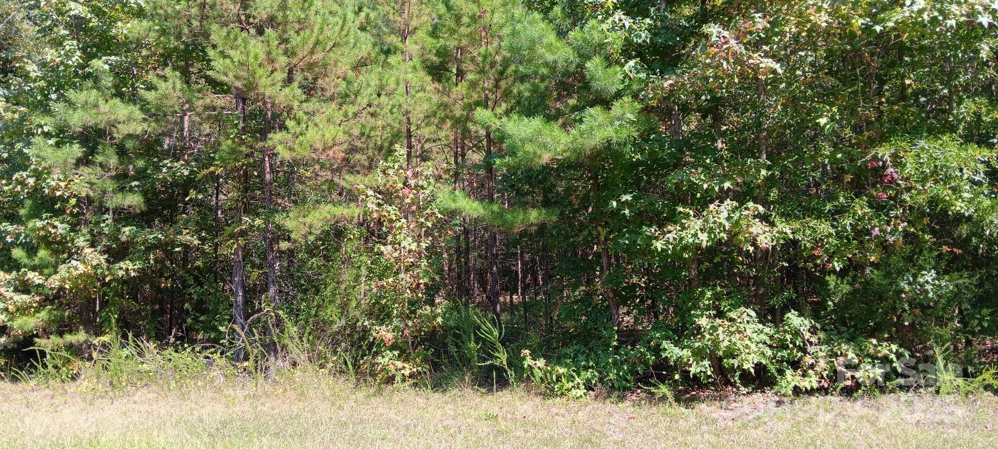 0 First Corriher Street