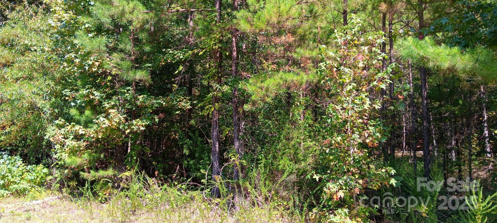 0 First Corriher Street