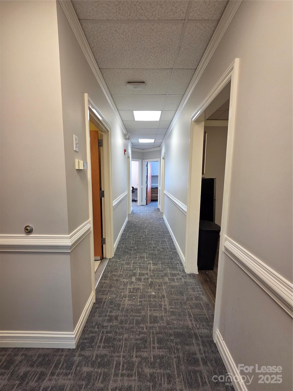 3121 Springbank Lane