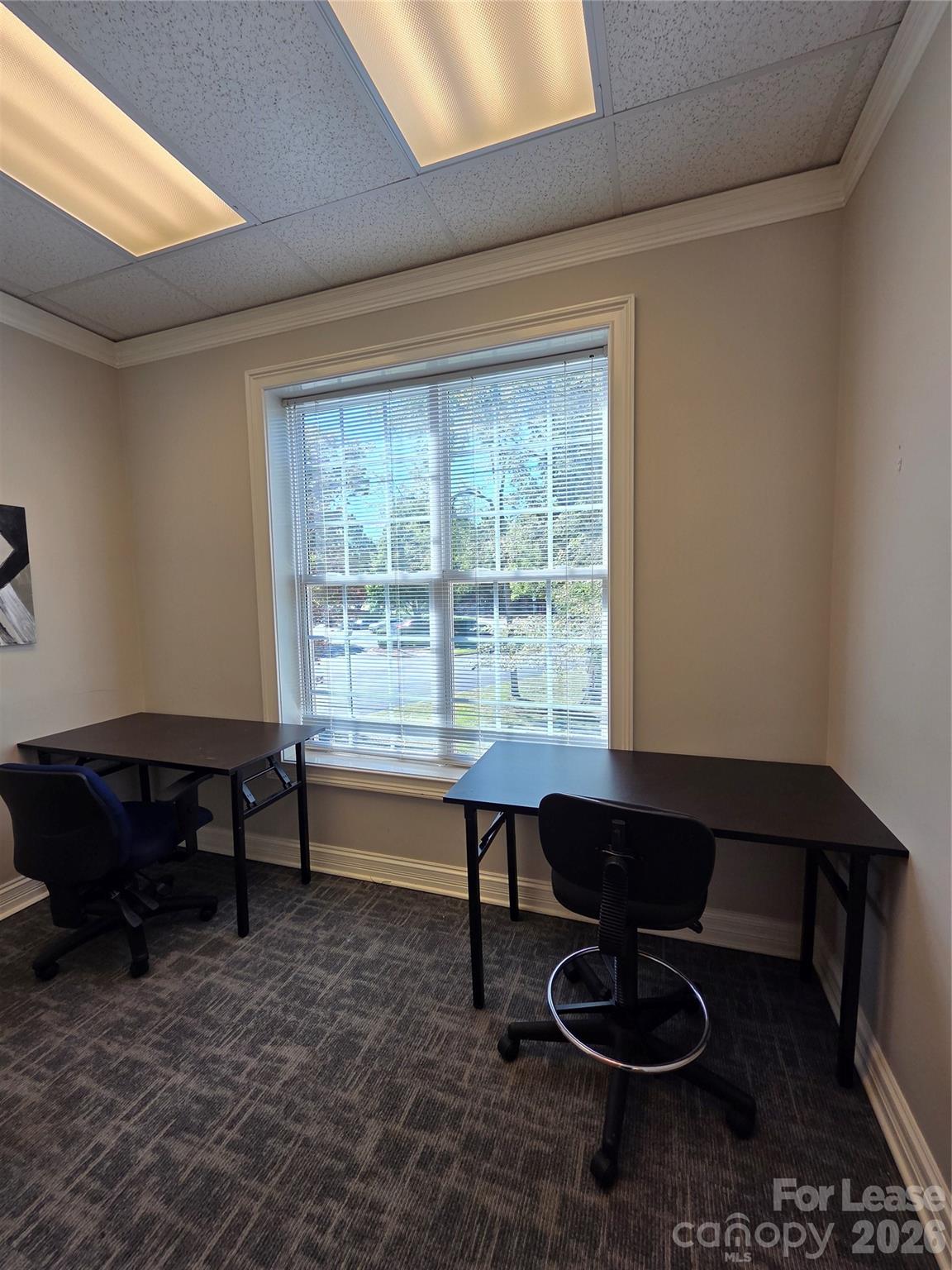 3121 Springbank Lane