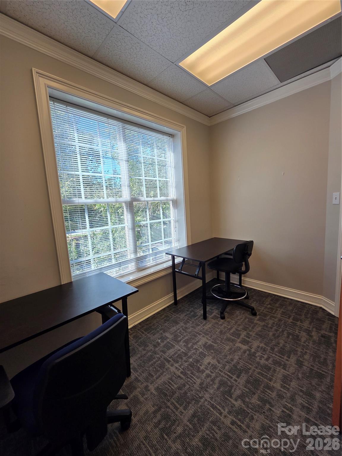 3121 Springbank Lane