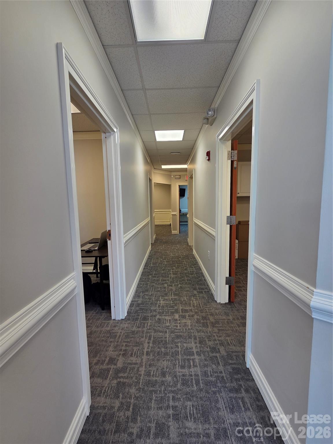 3121 Springbank Lane