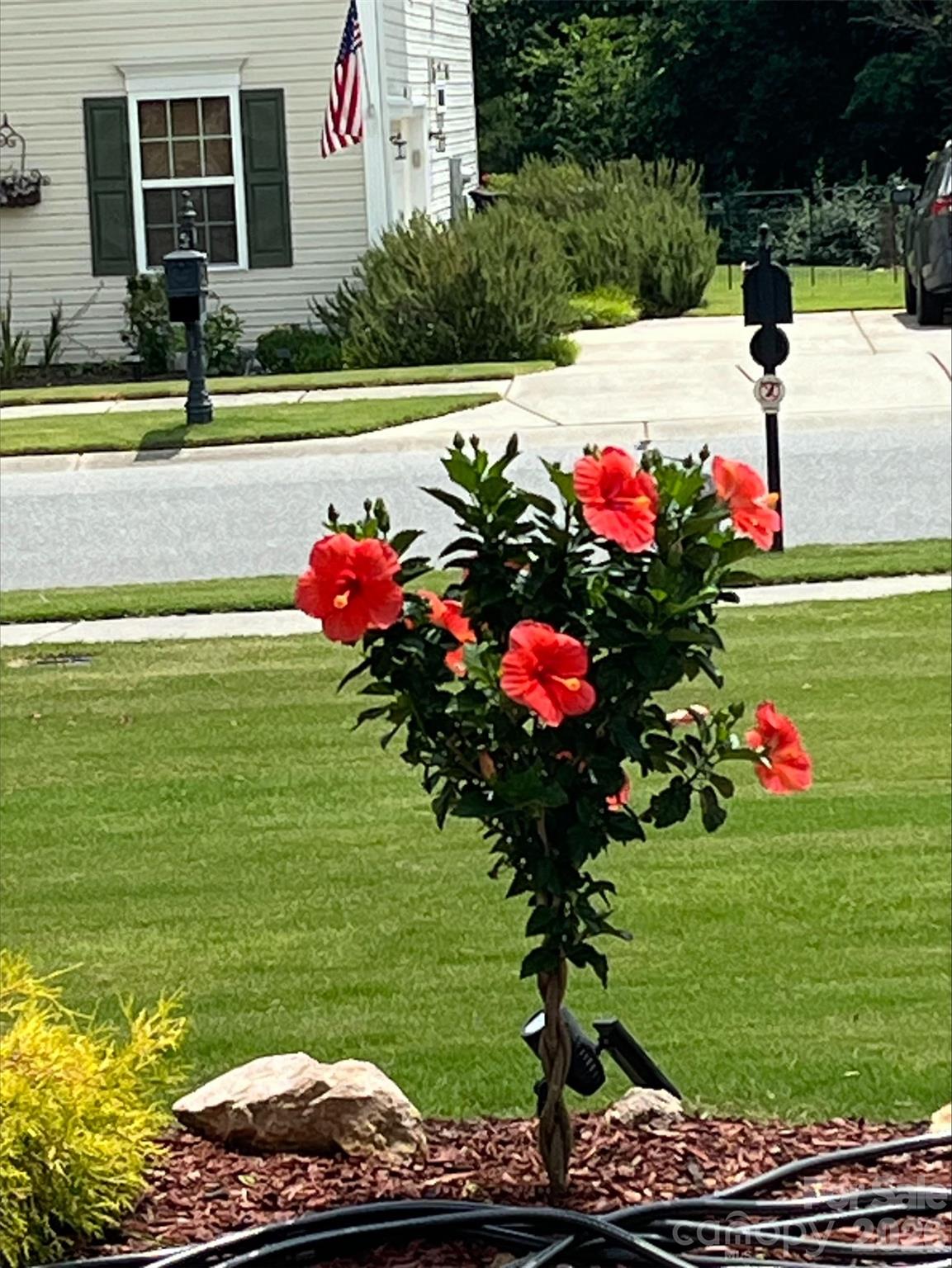 4444 Bravery Place SW Unit: 116