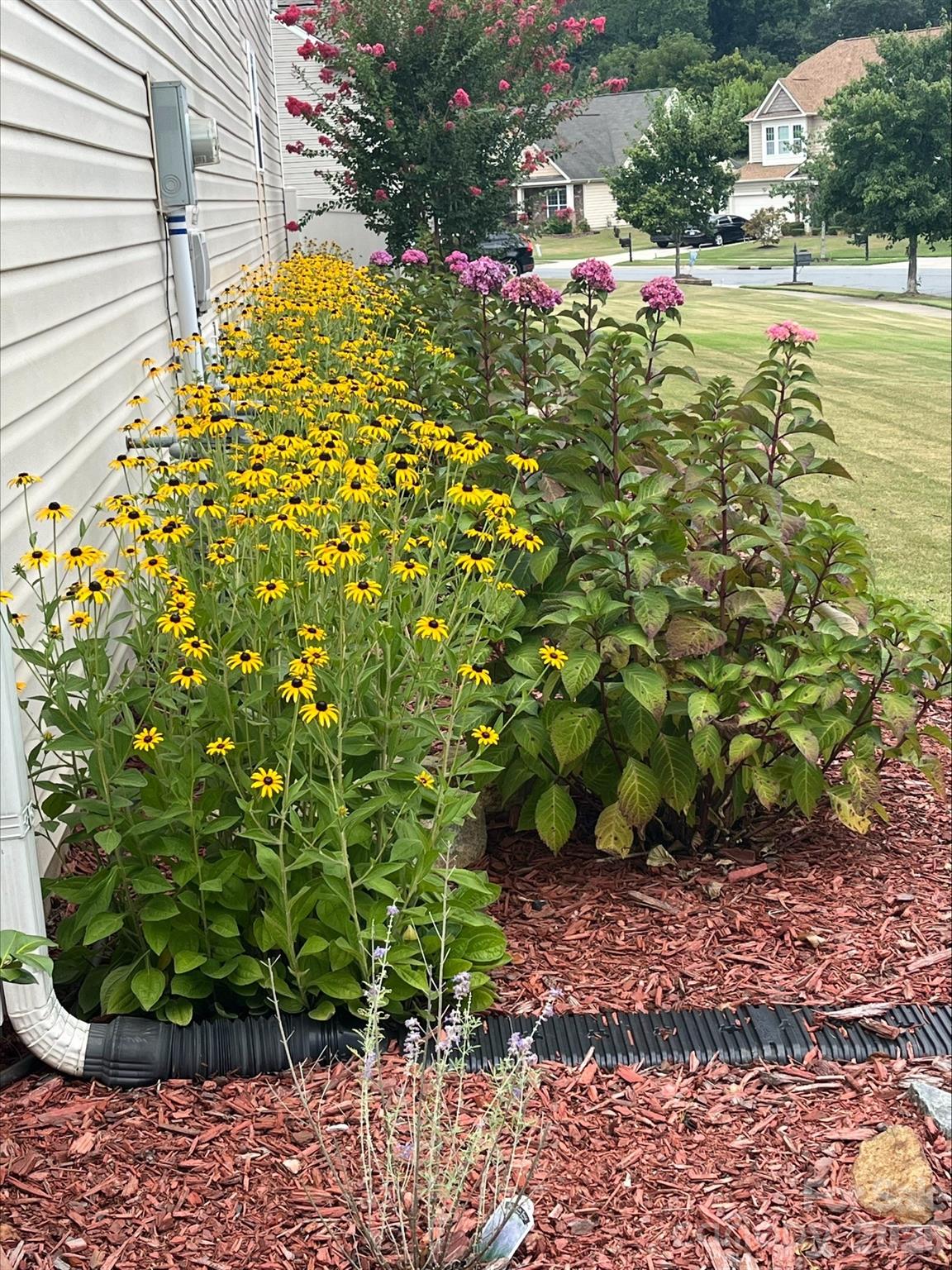 4444 Bravery Place SW Unit: 116