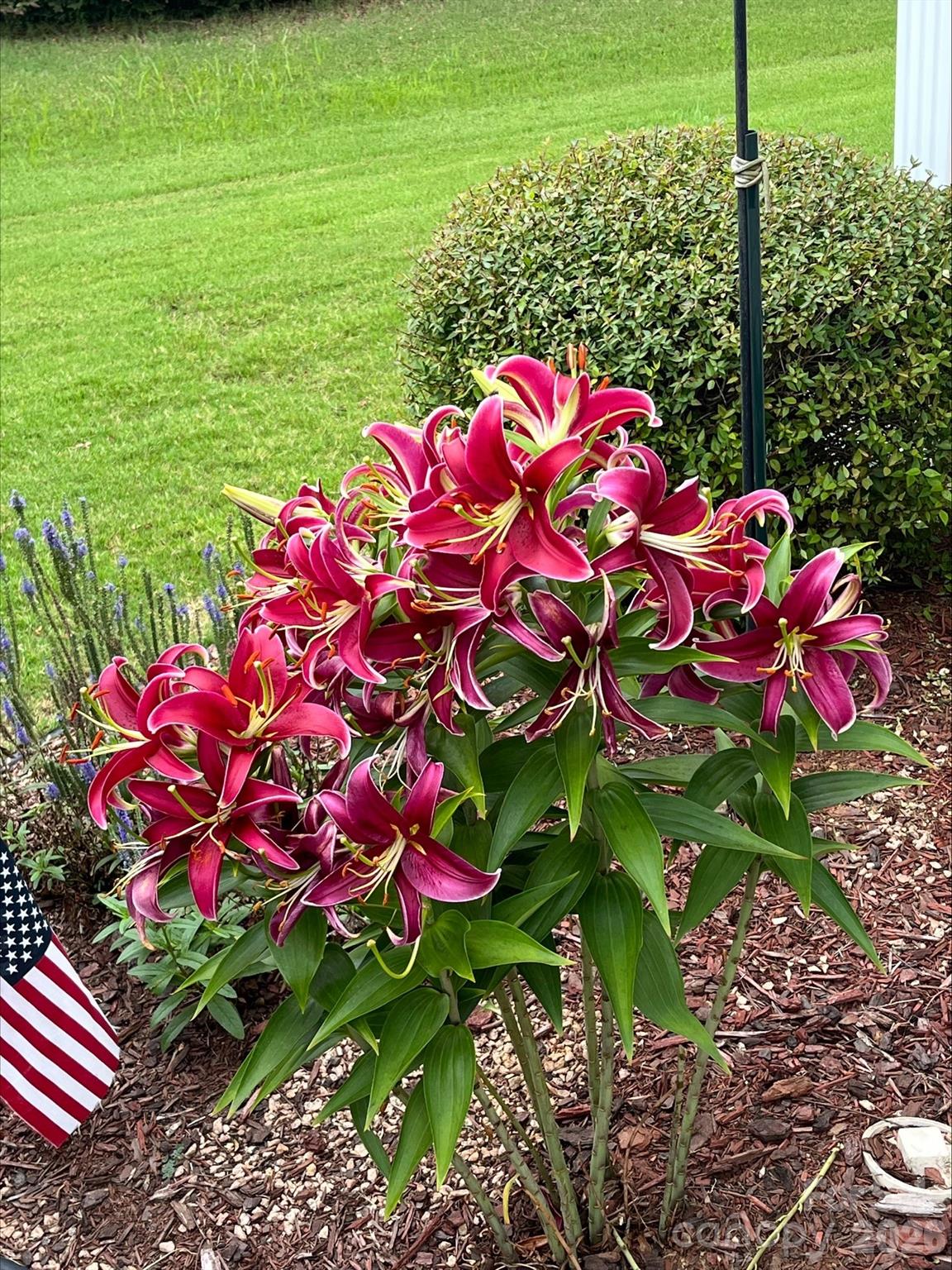 4444 Bravery Place SW Unit: 116