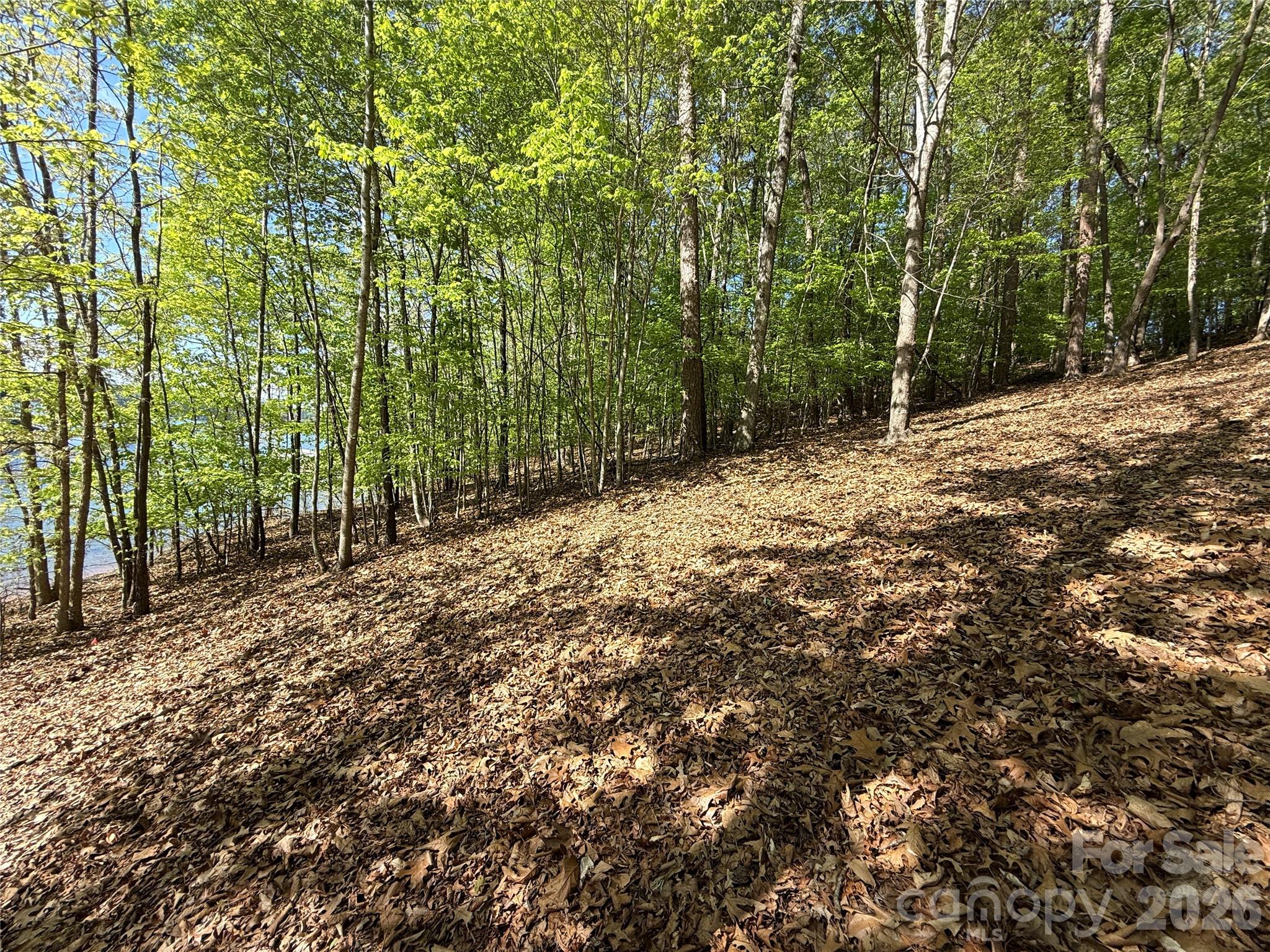 163 High Lake Drive