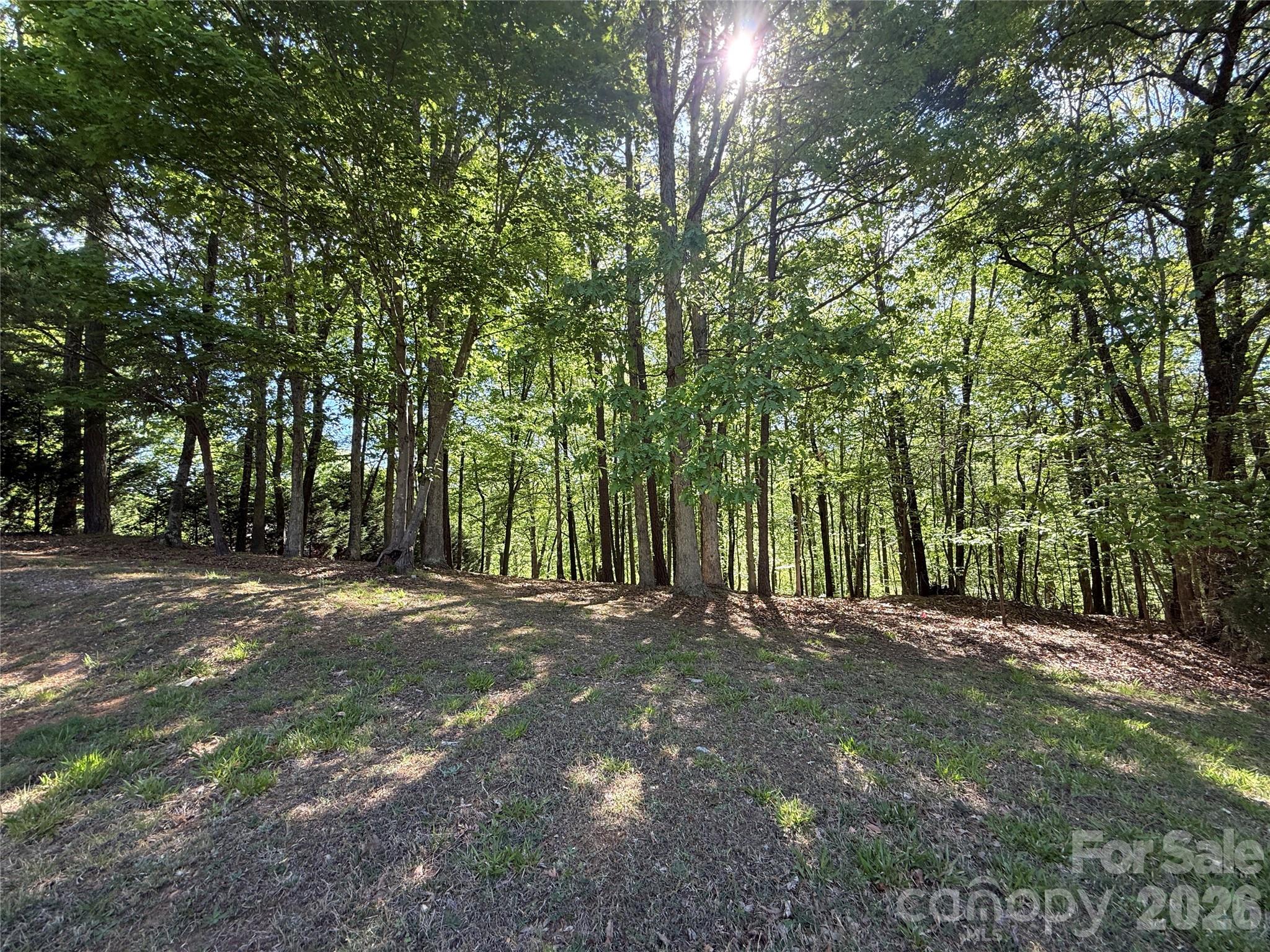 163 High Lake Drive