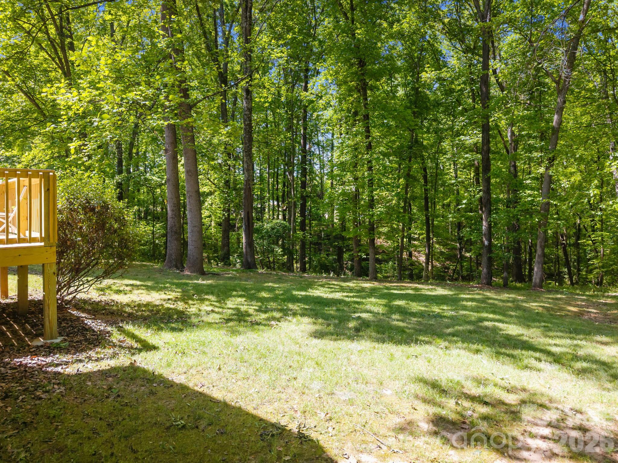 125 Mills Forest Lane