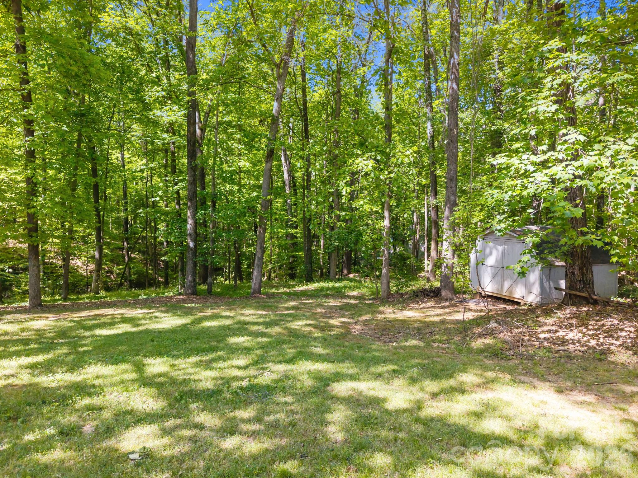 125 Mills Forest Lane