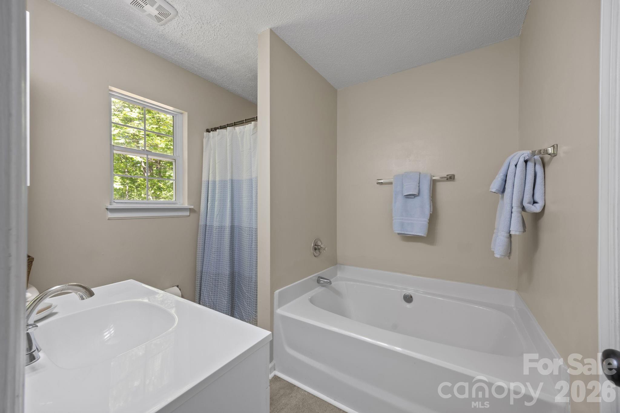125 Mills Forest Lane
