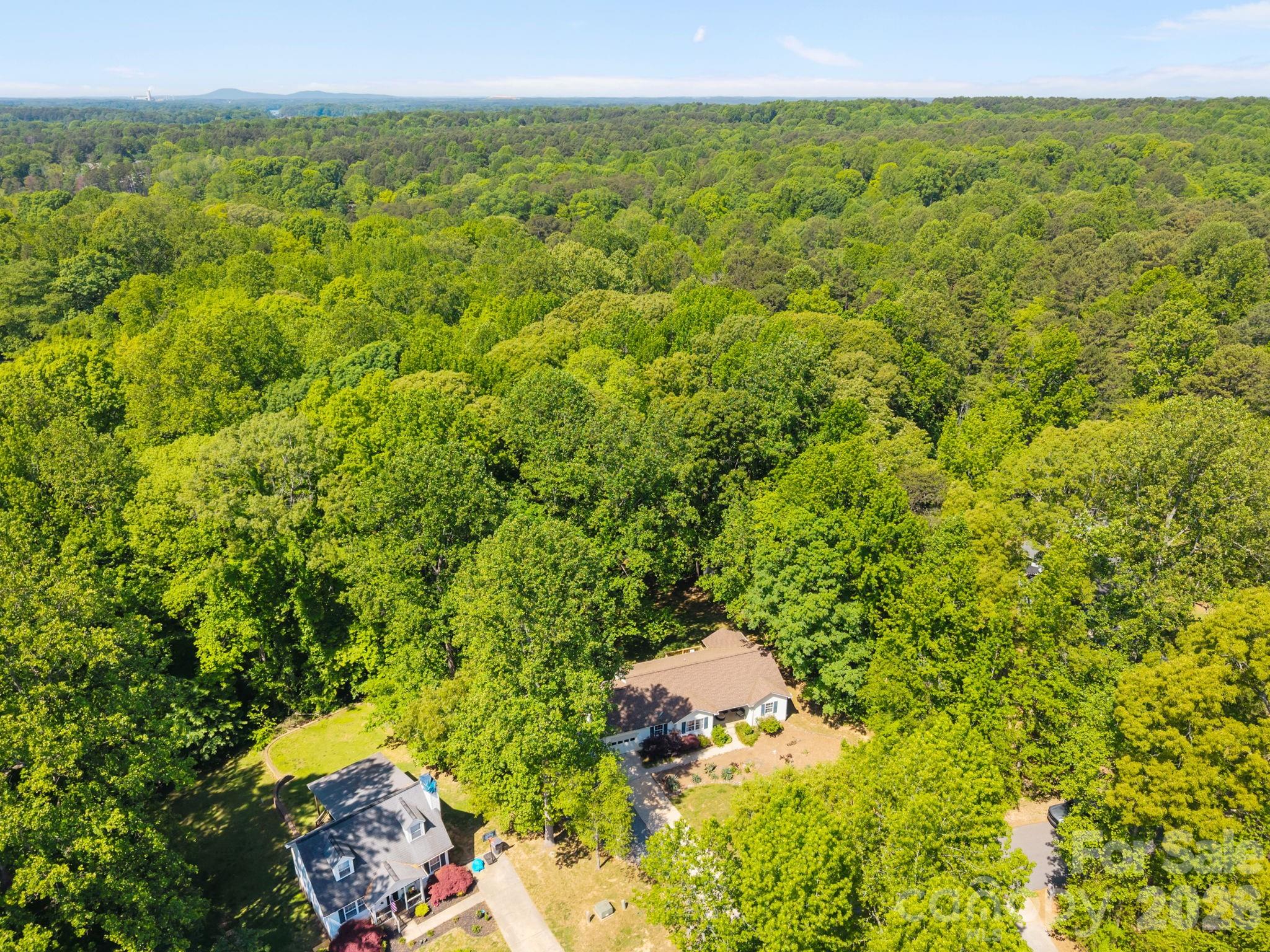 125 Mills Forest Lane