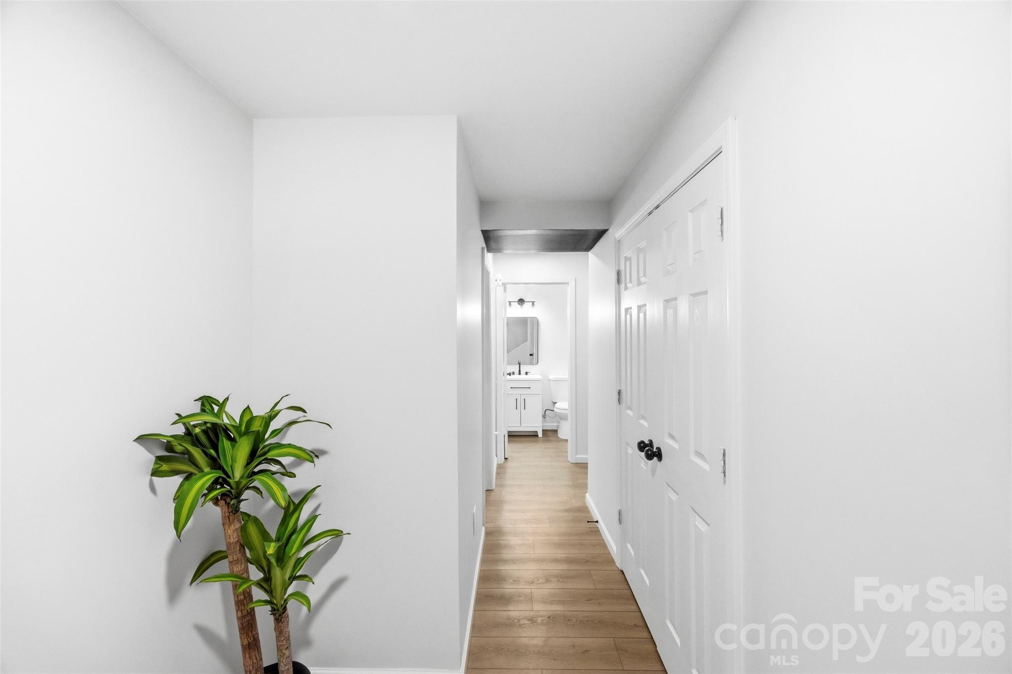 1047 White Plains Road