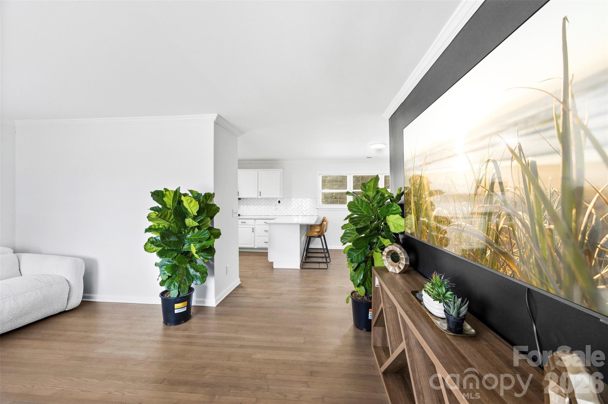 1047 White Plains Road