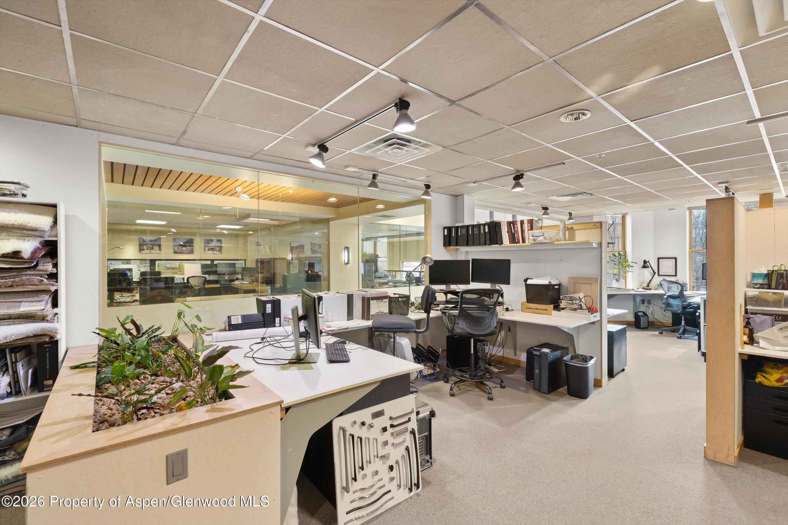 Office interior with computer workstations, a glass partition, and a built-in planter.