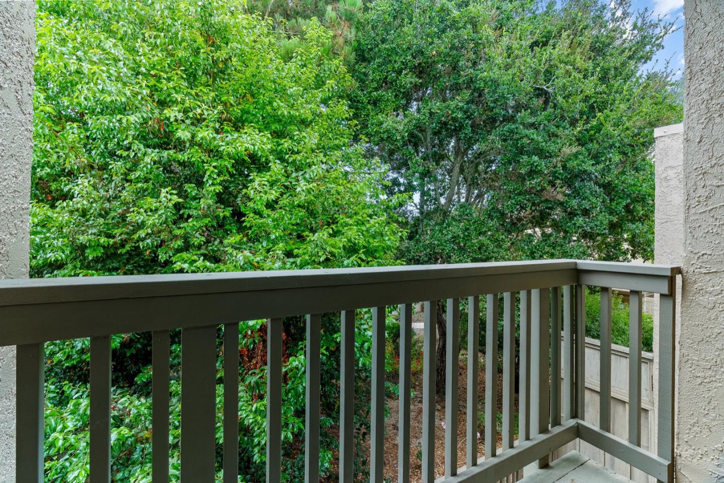 66 Montsalas DR