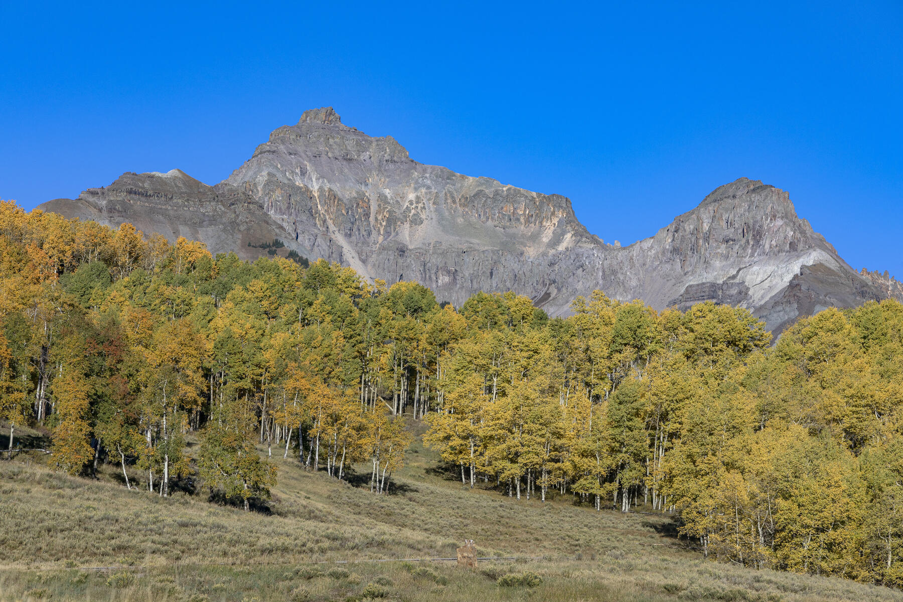 TBD Aldasoro Boulevard