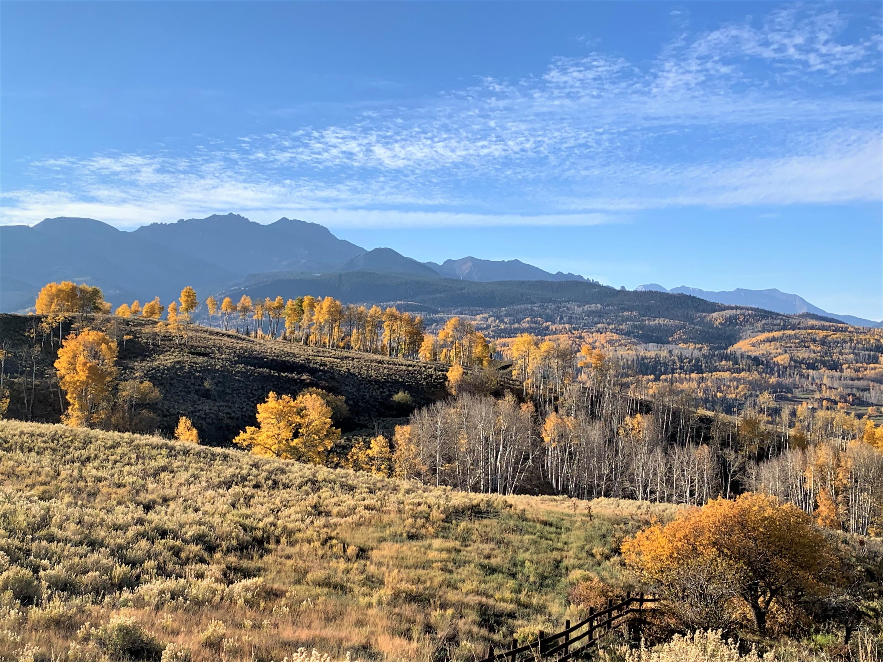 TBD Aldasoro Boulevard