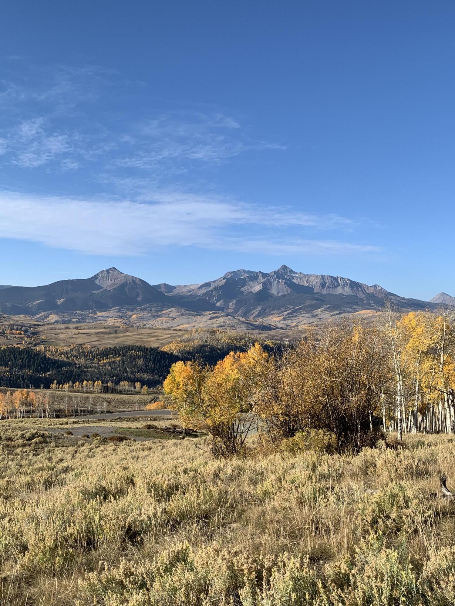 TBD Aldasoro Boulevard