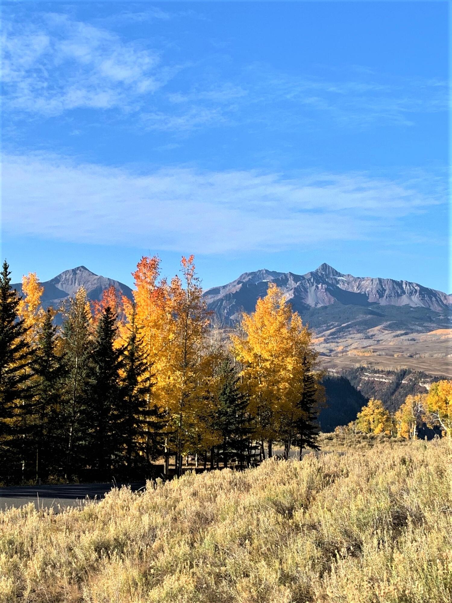 TBD Aldasoro Boulevard