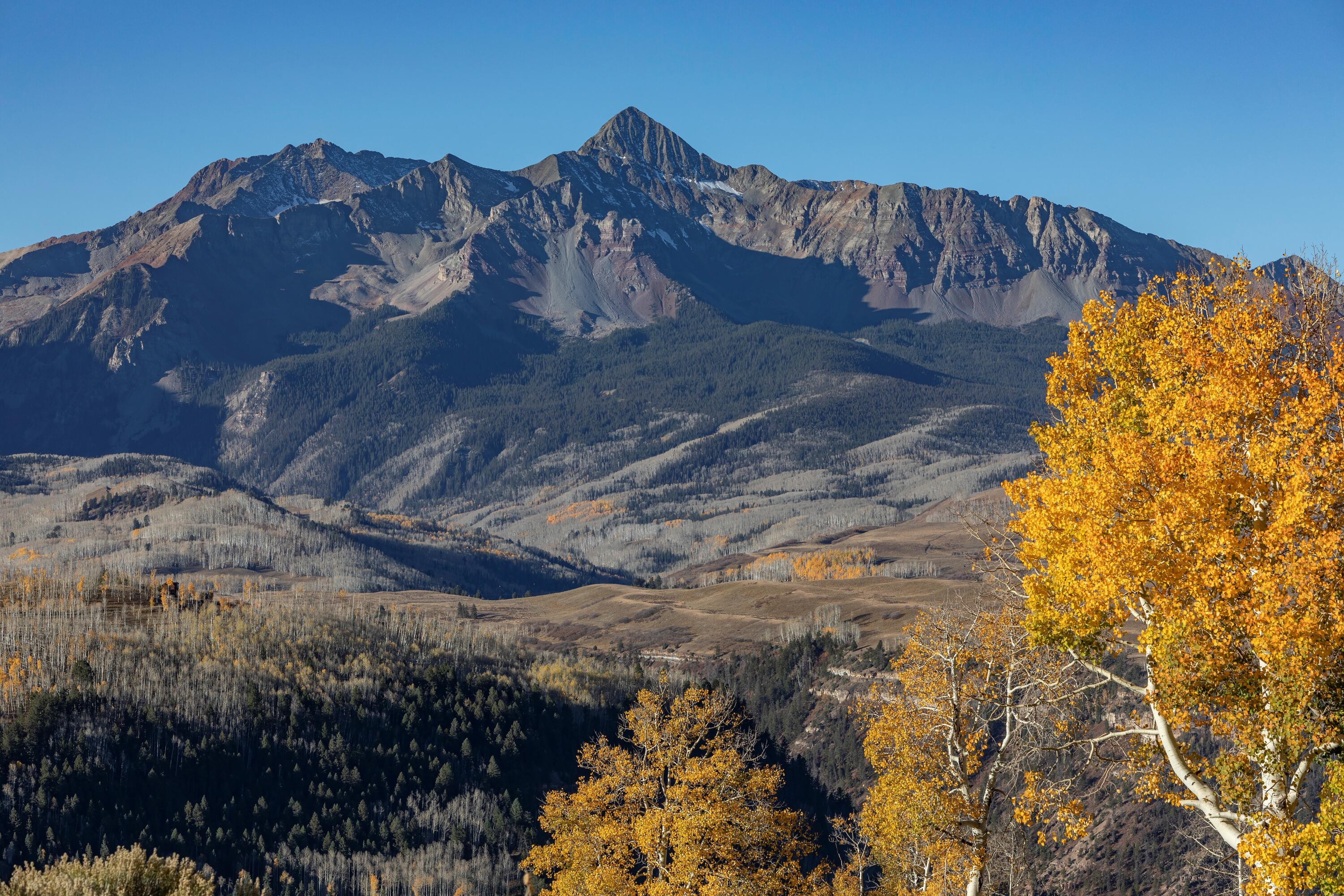 TBD Aldasoro Boulevard