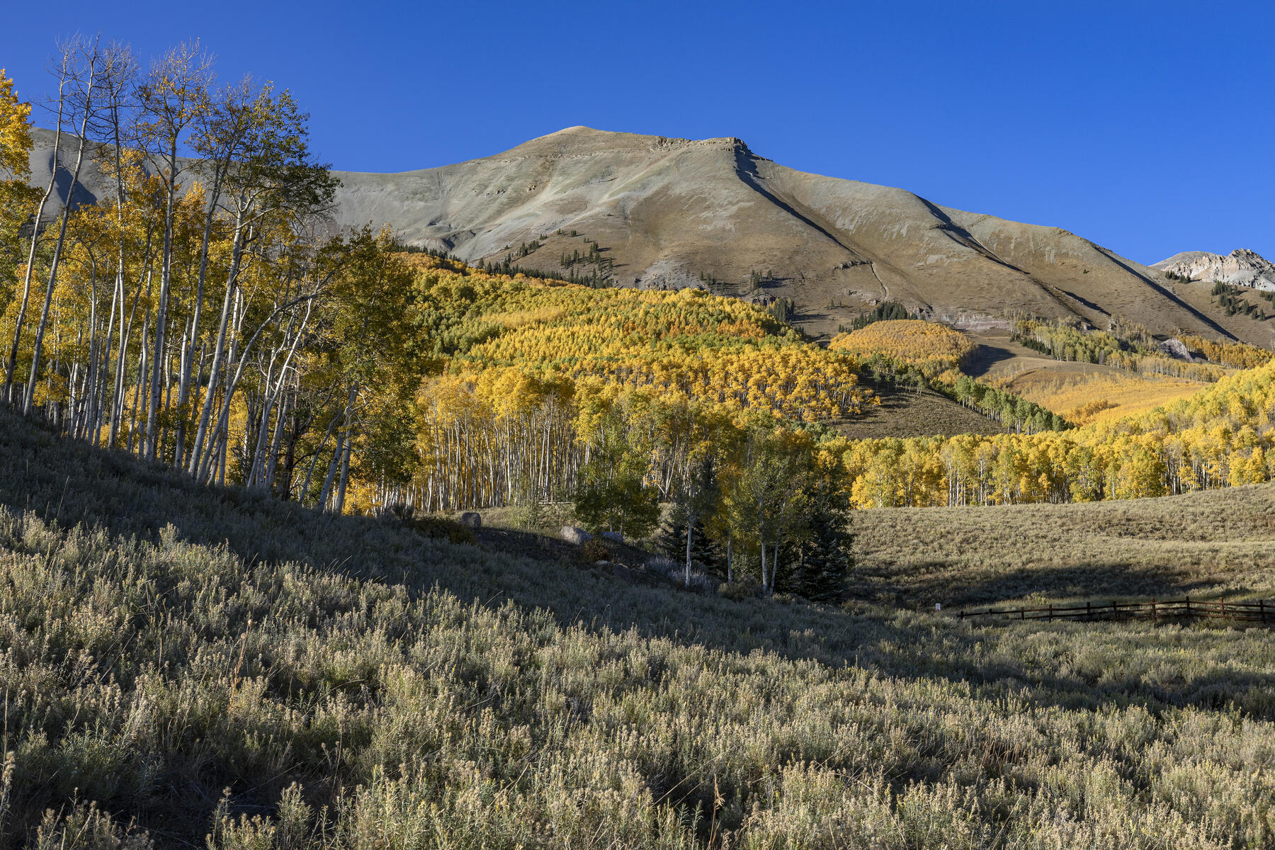 TBD Aldasoro Boulevard