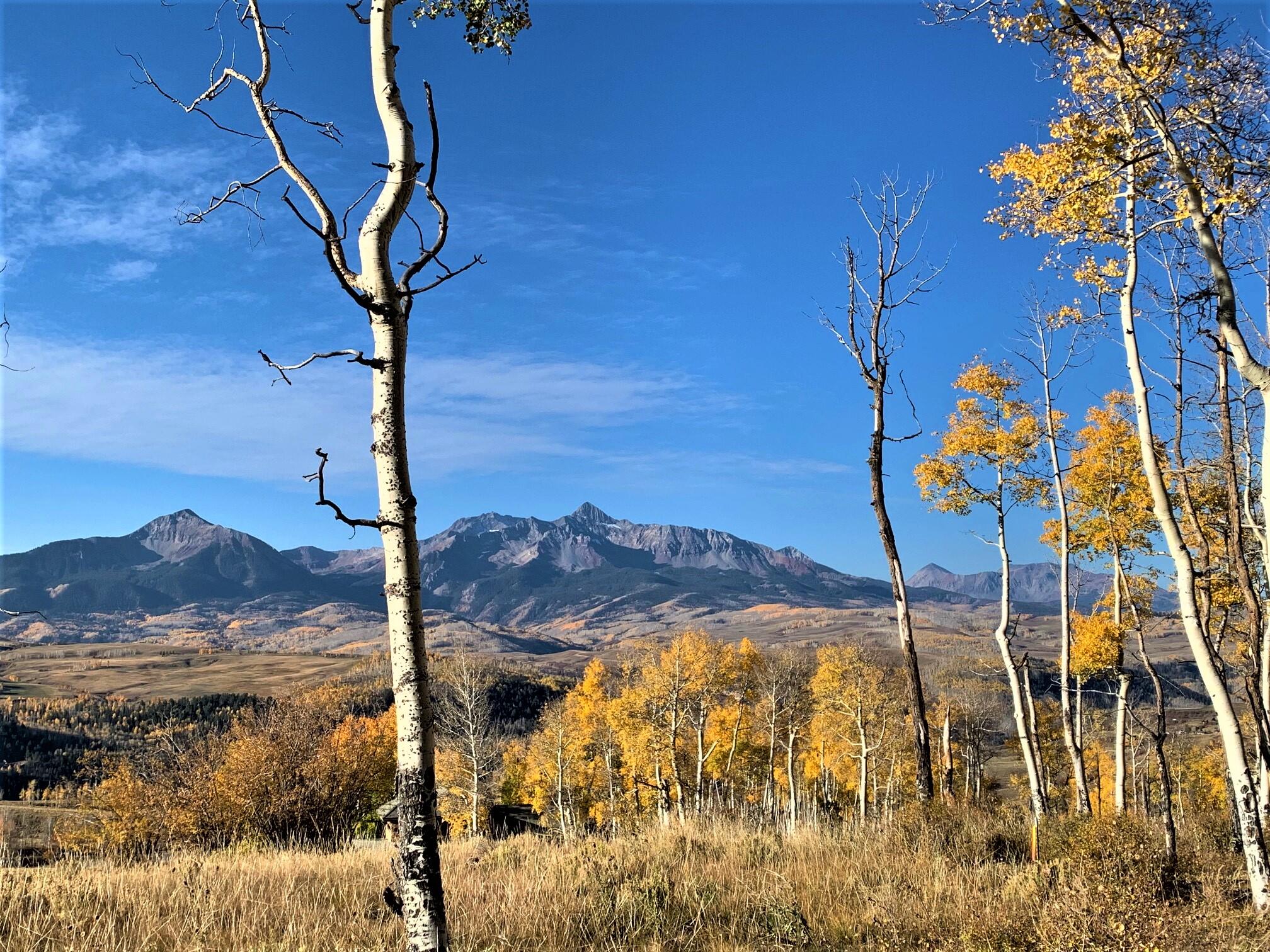 TBD Aldasoro Boulevard