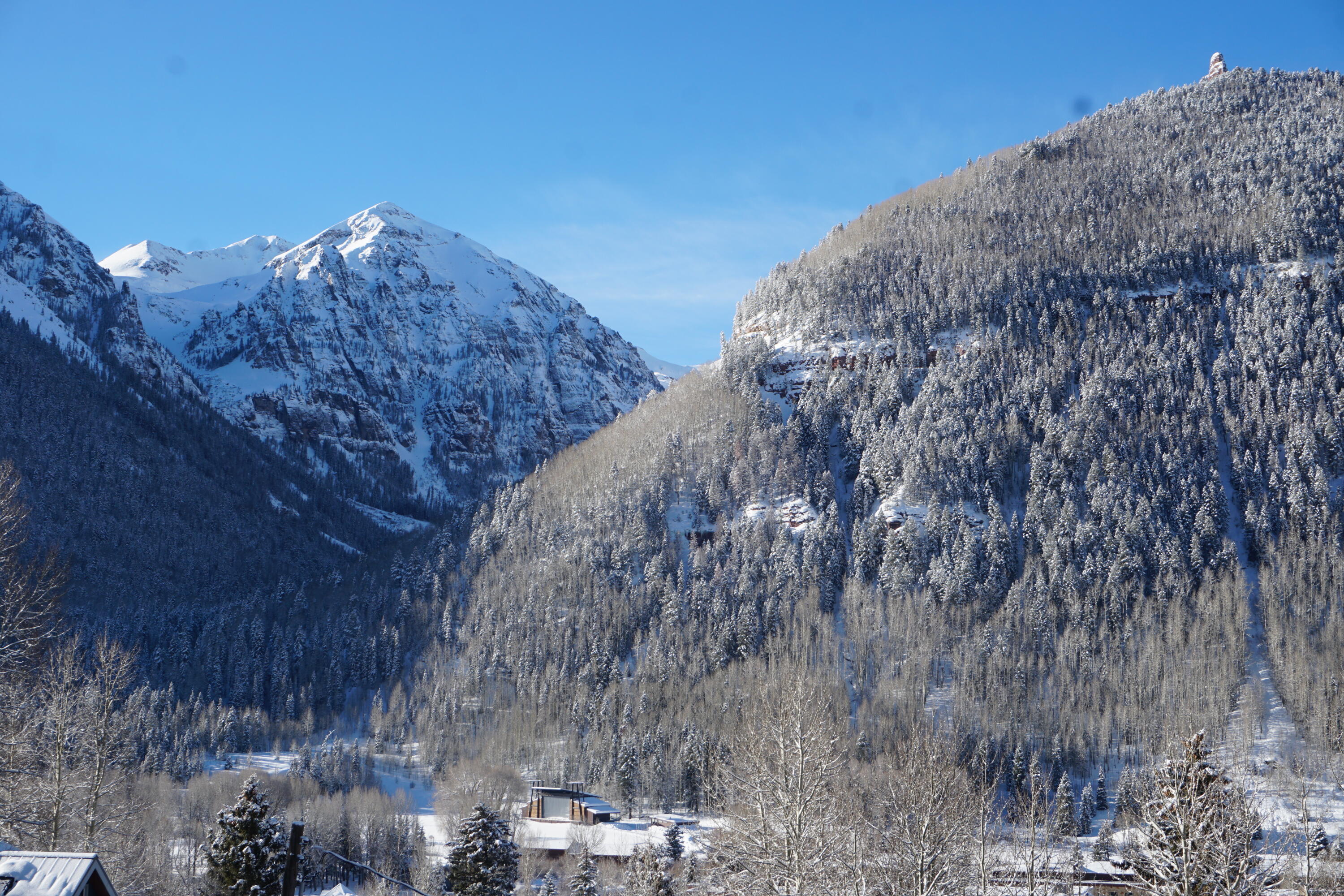 207 E Gregory Avenue