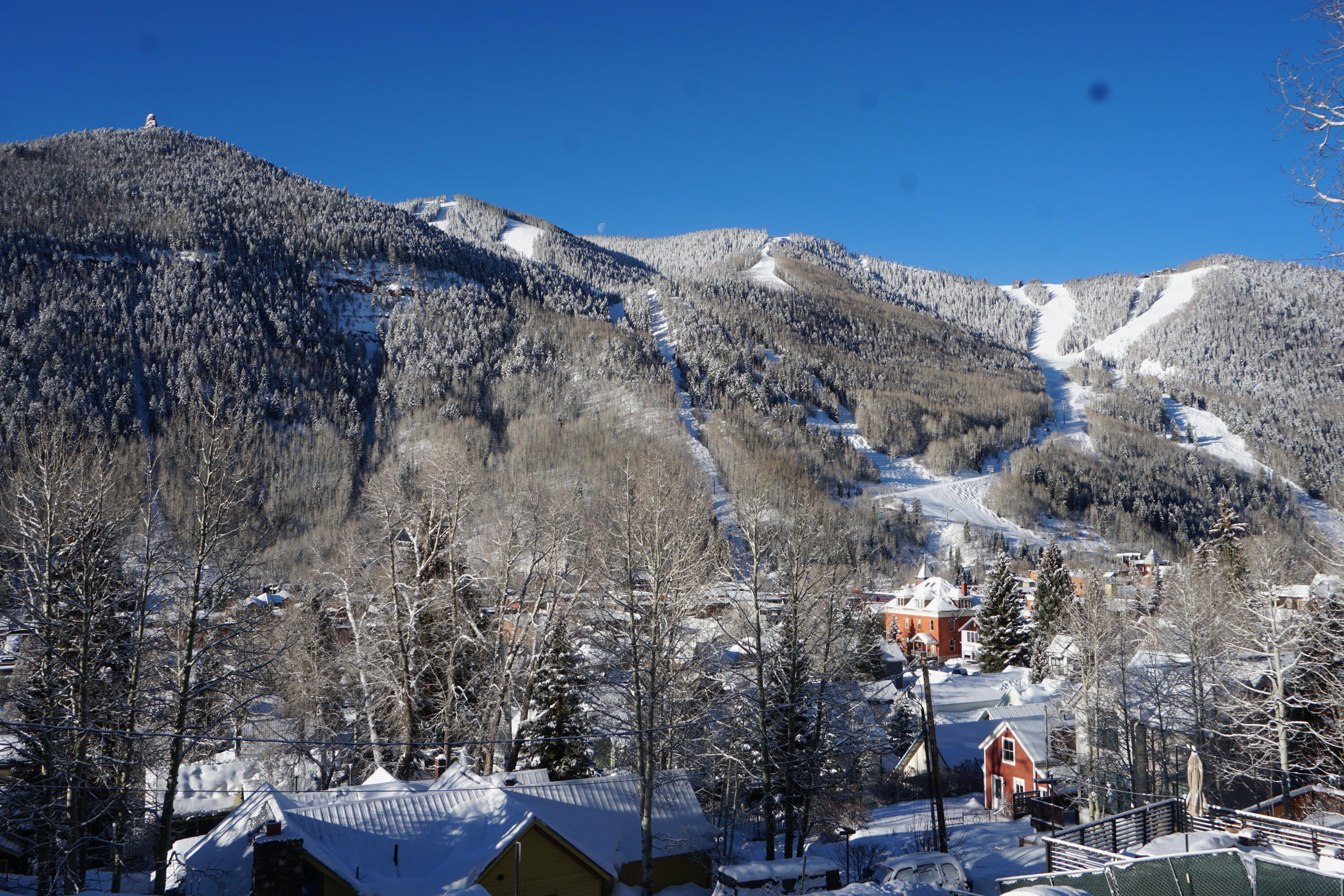 207 E Gregory Avenue