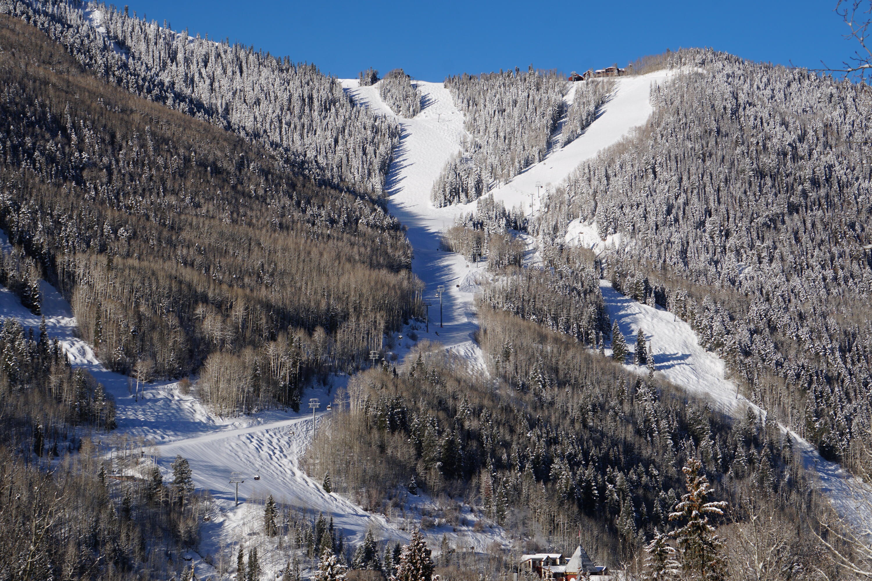 207 E Gregory Avenue