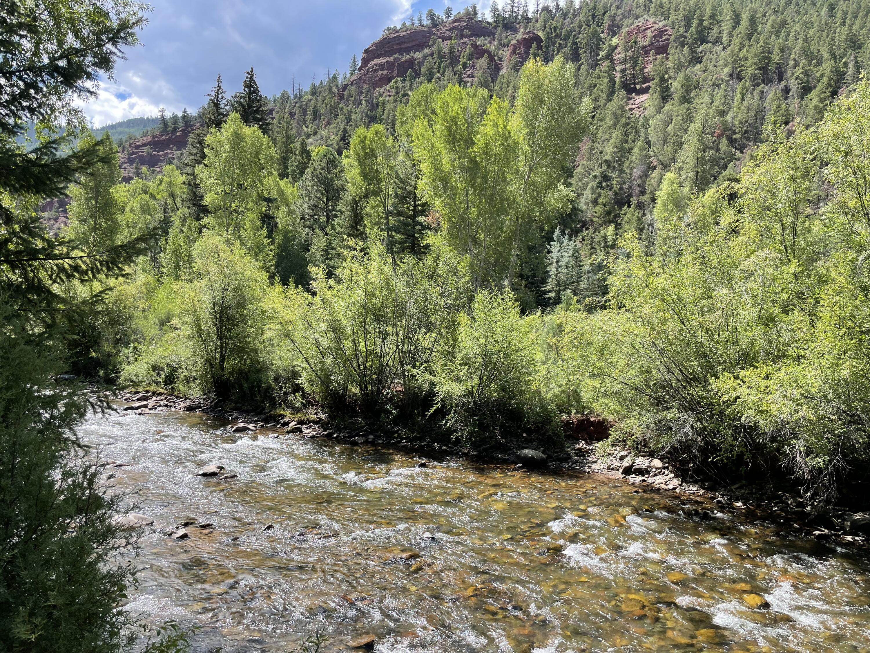 22267 Highway 145