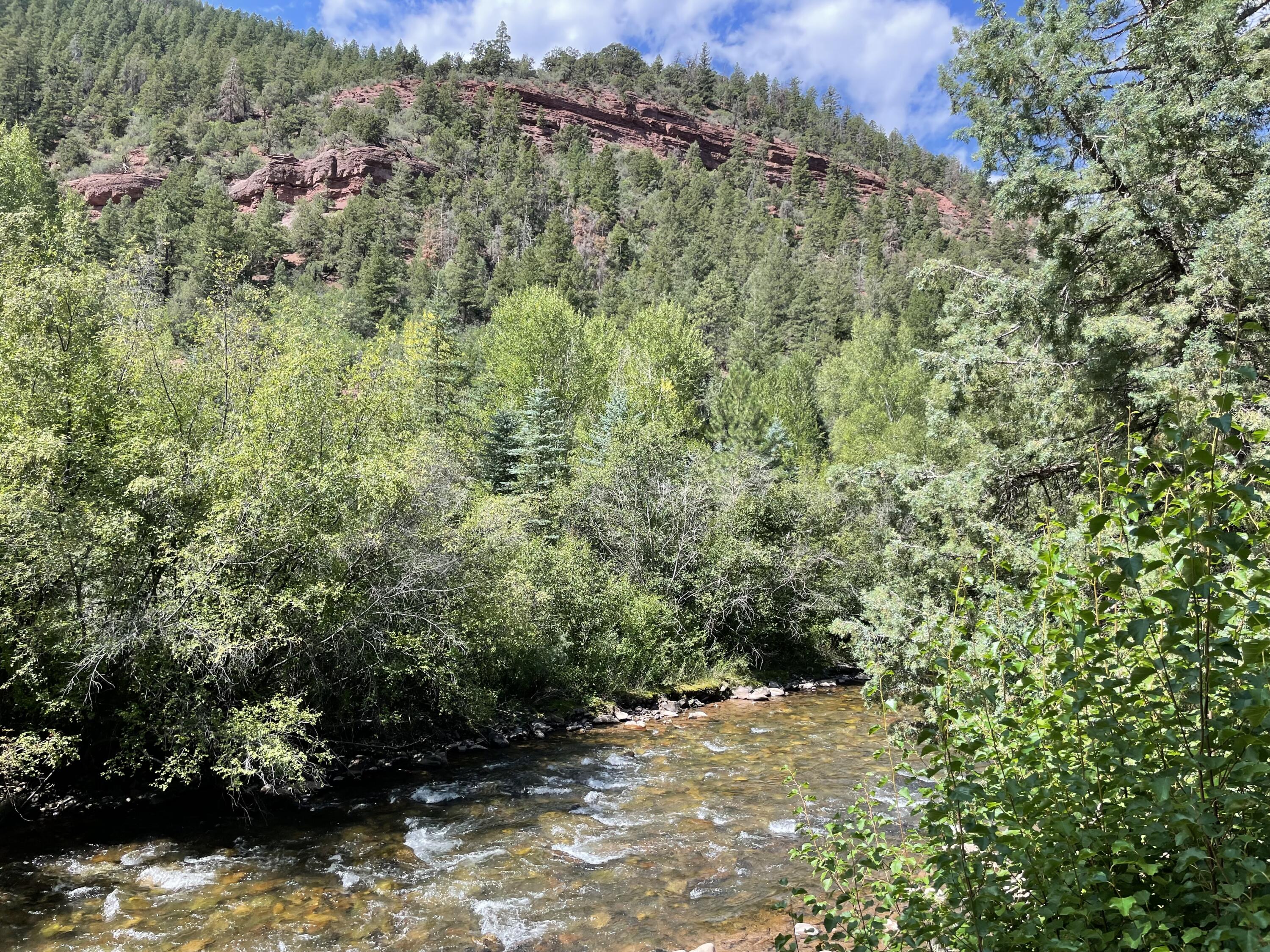 22267 Highway 145