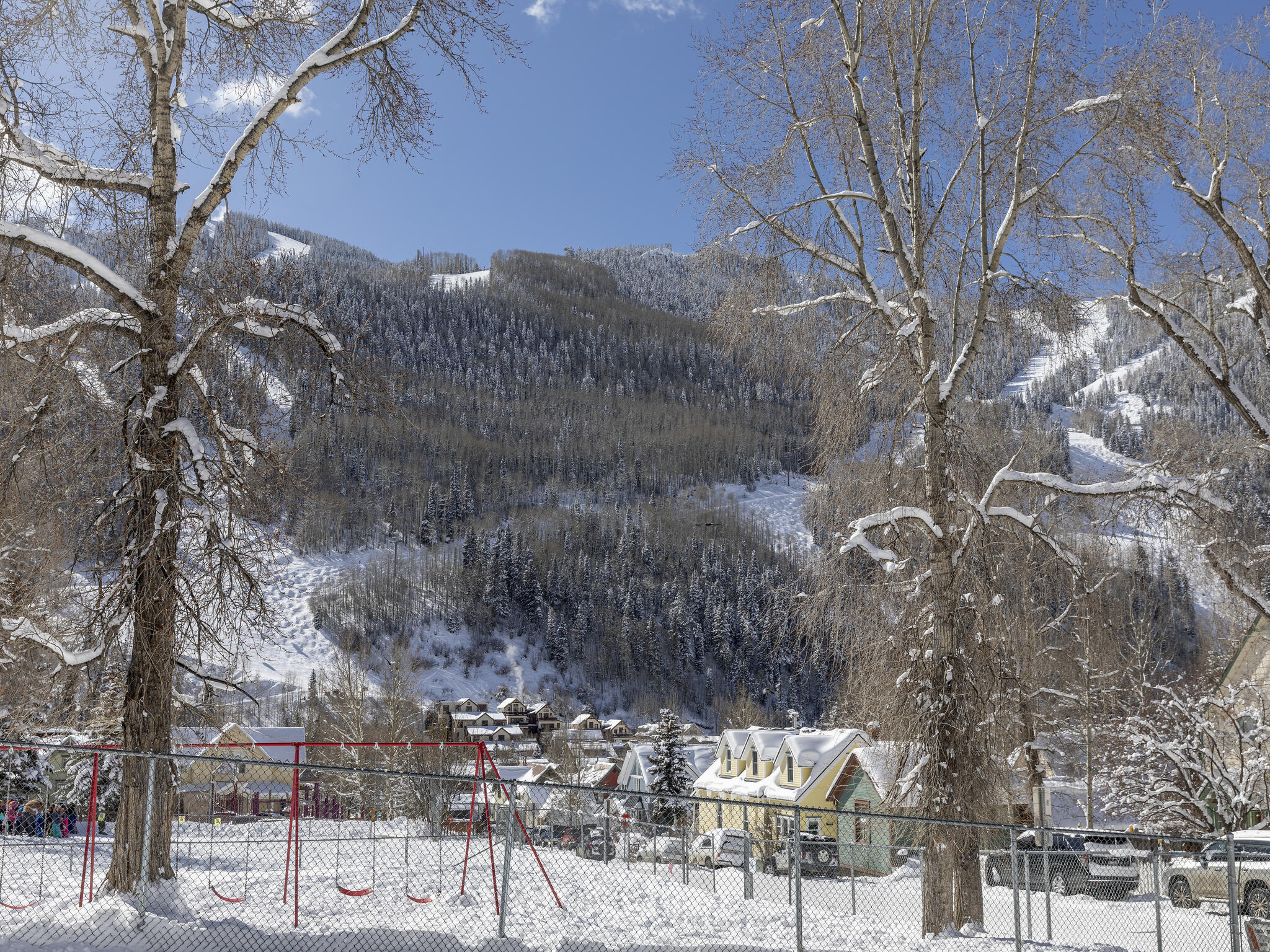 Snowy neighborhood below a forested mountain with ski runs, framed by bare trees.