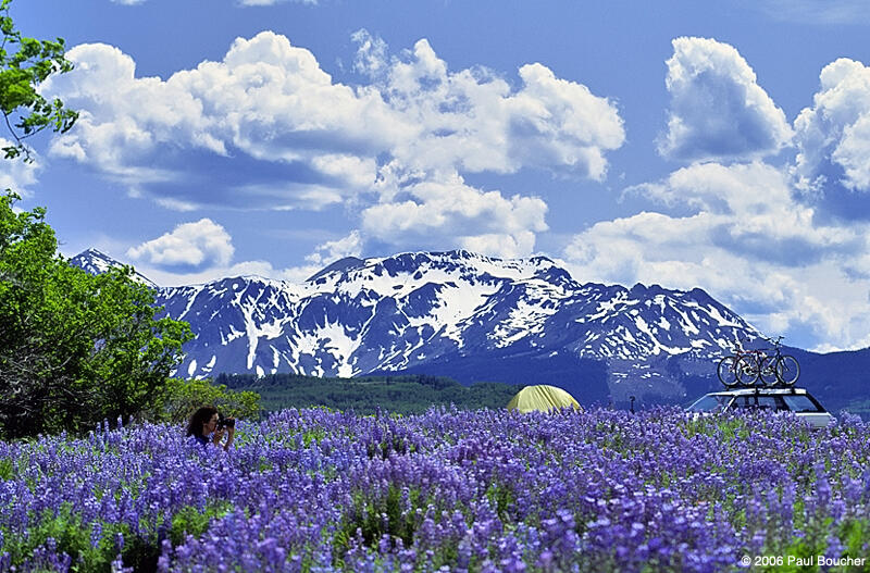 Mountain landscape above a purple wildflower field, with a tent and bicycles on a vehicle.