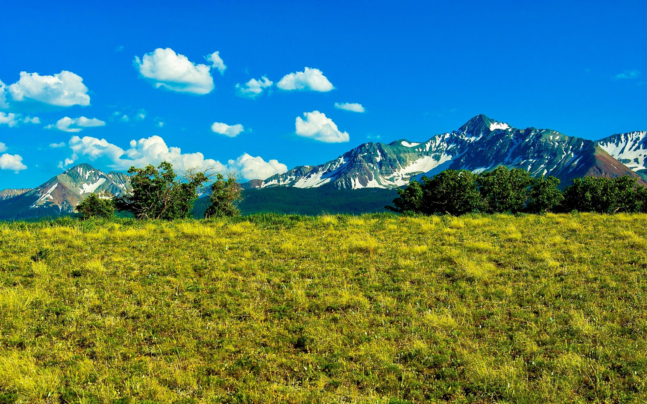 Open grassy land with scattered trees and a sweeping view of snow-streaked mountains.