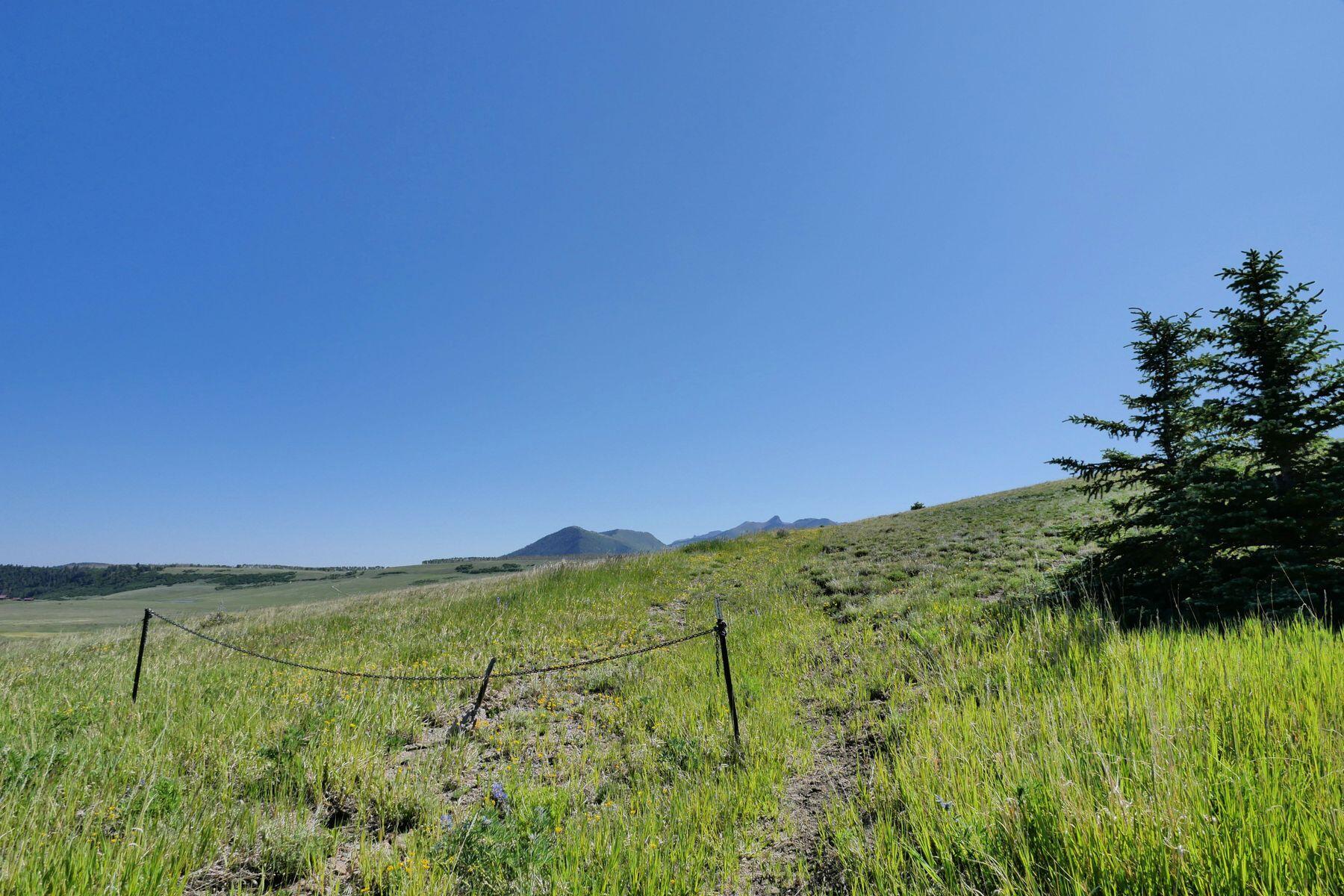 Grassy vacant land with wildflowers, a fence, evergreen trees, and distant mountain peaks.