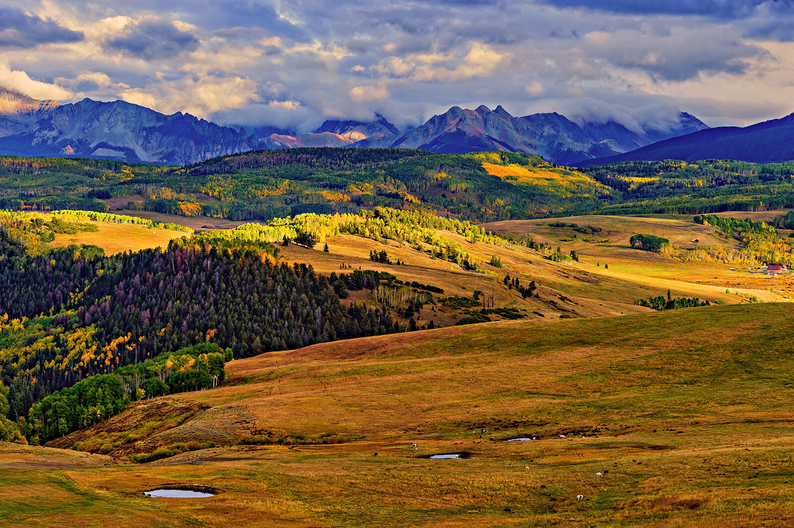 Rolling autumn pasture and forest with grazing cattle, ponds, and mountains beneath dramatic clouds.