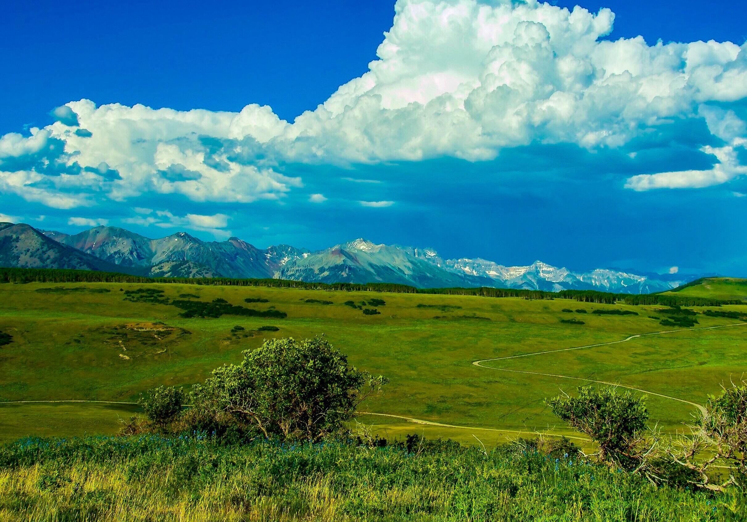 Open meadow and winding track with a snow-dusted mountain range beneath towering clouds.