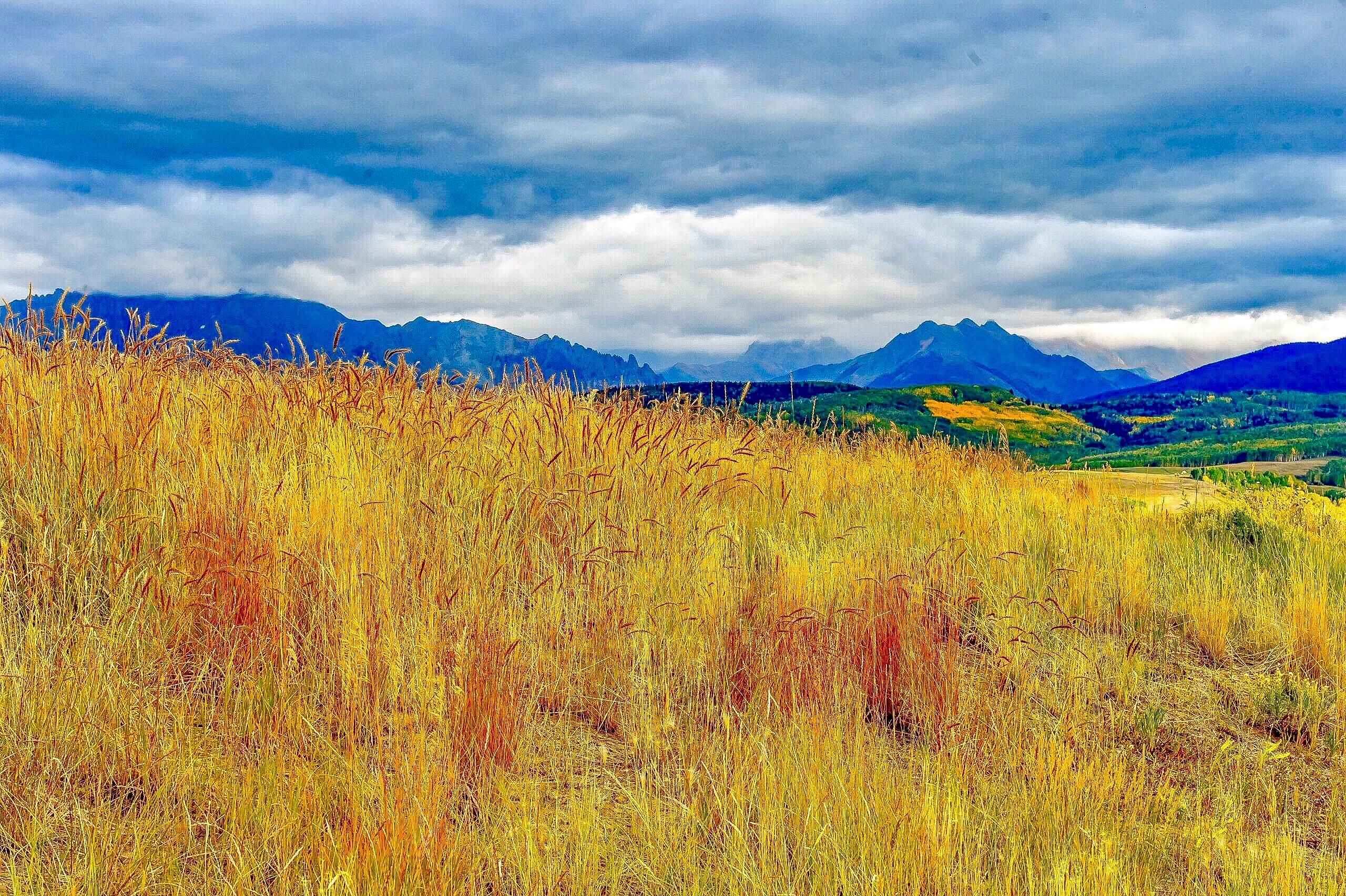Golden grassland with distant mountain ranges beneath a cloudy sky.