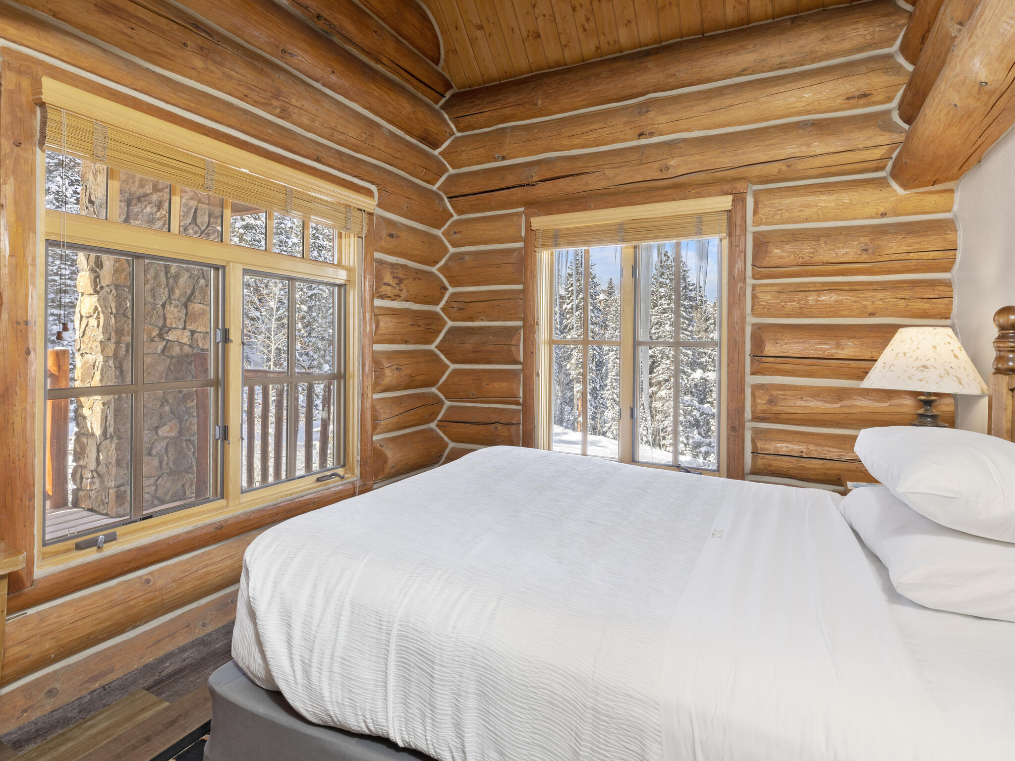 457 Mountain Village Boulevard