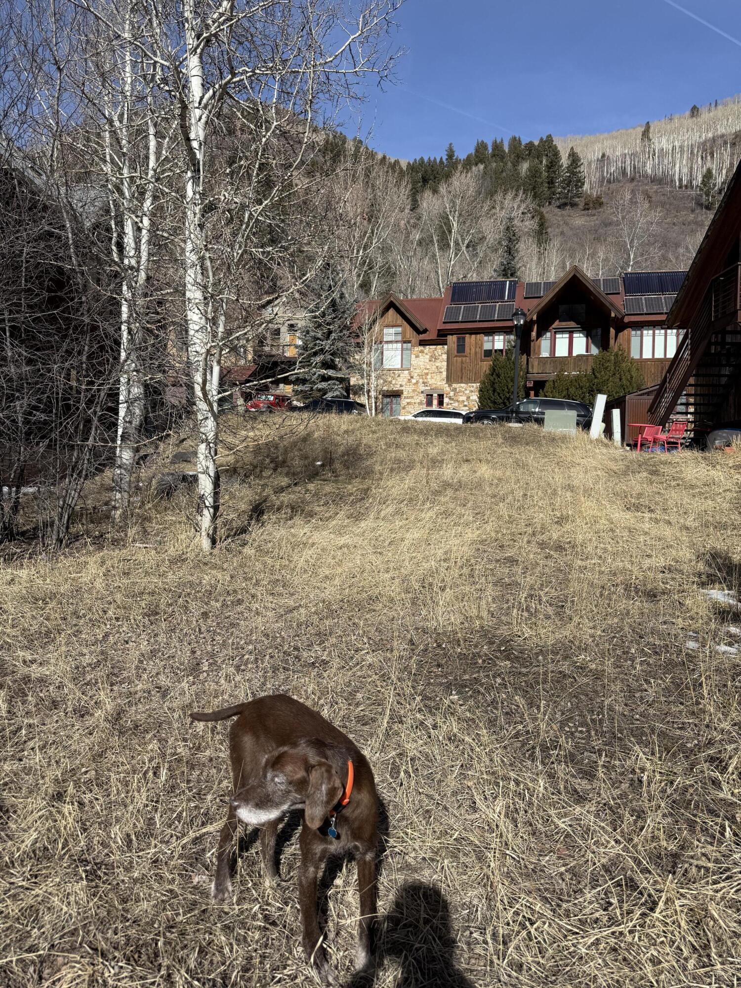 816 Butcher Creek Drive