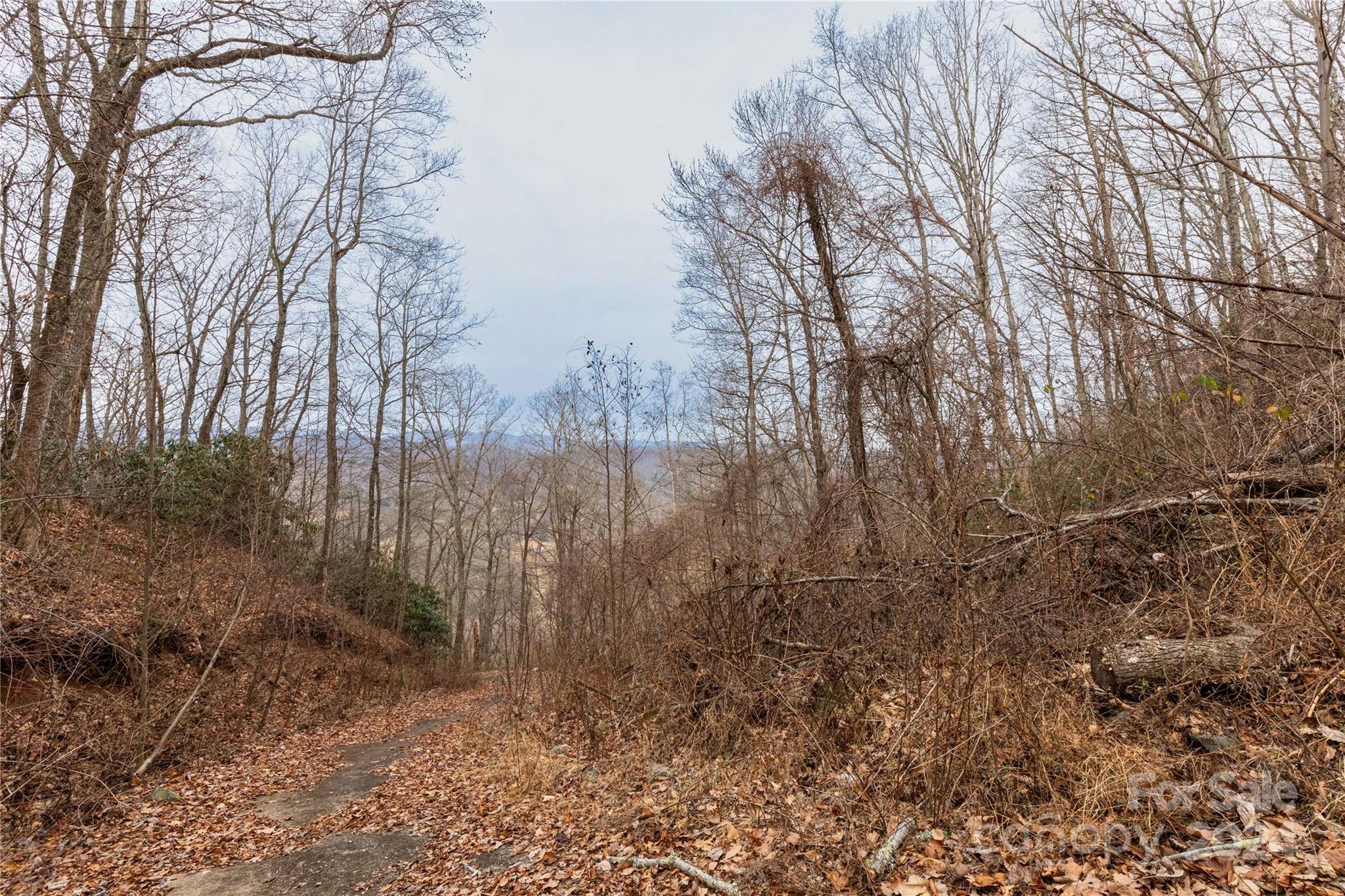 298 S Turkey Creek Road