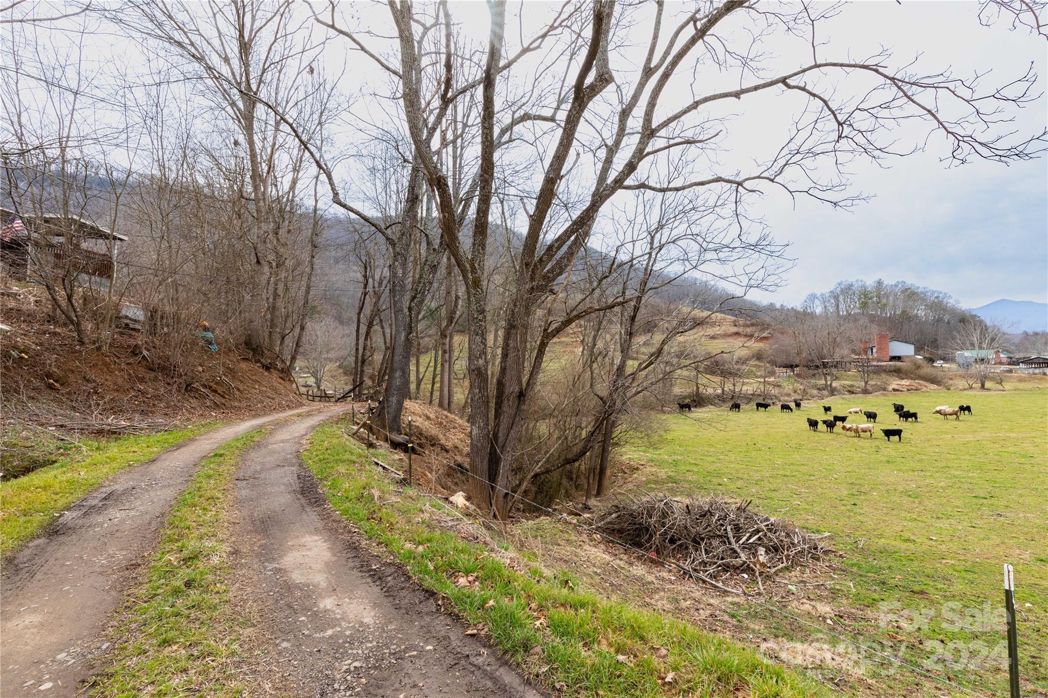 298 S Turkey Creek Road