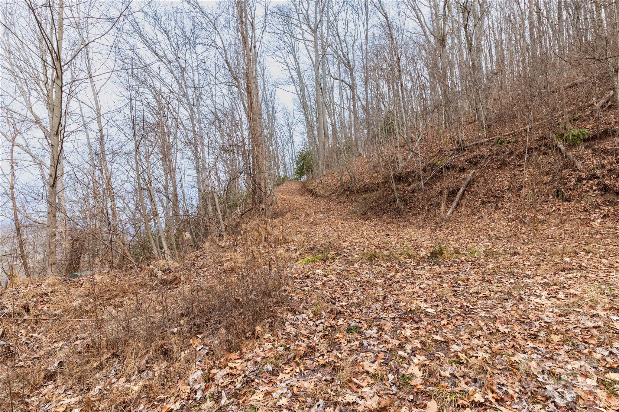 298 S Turkey Creek Road