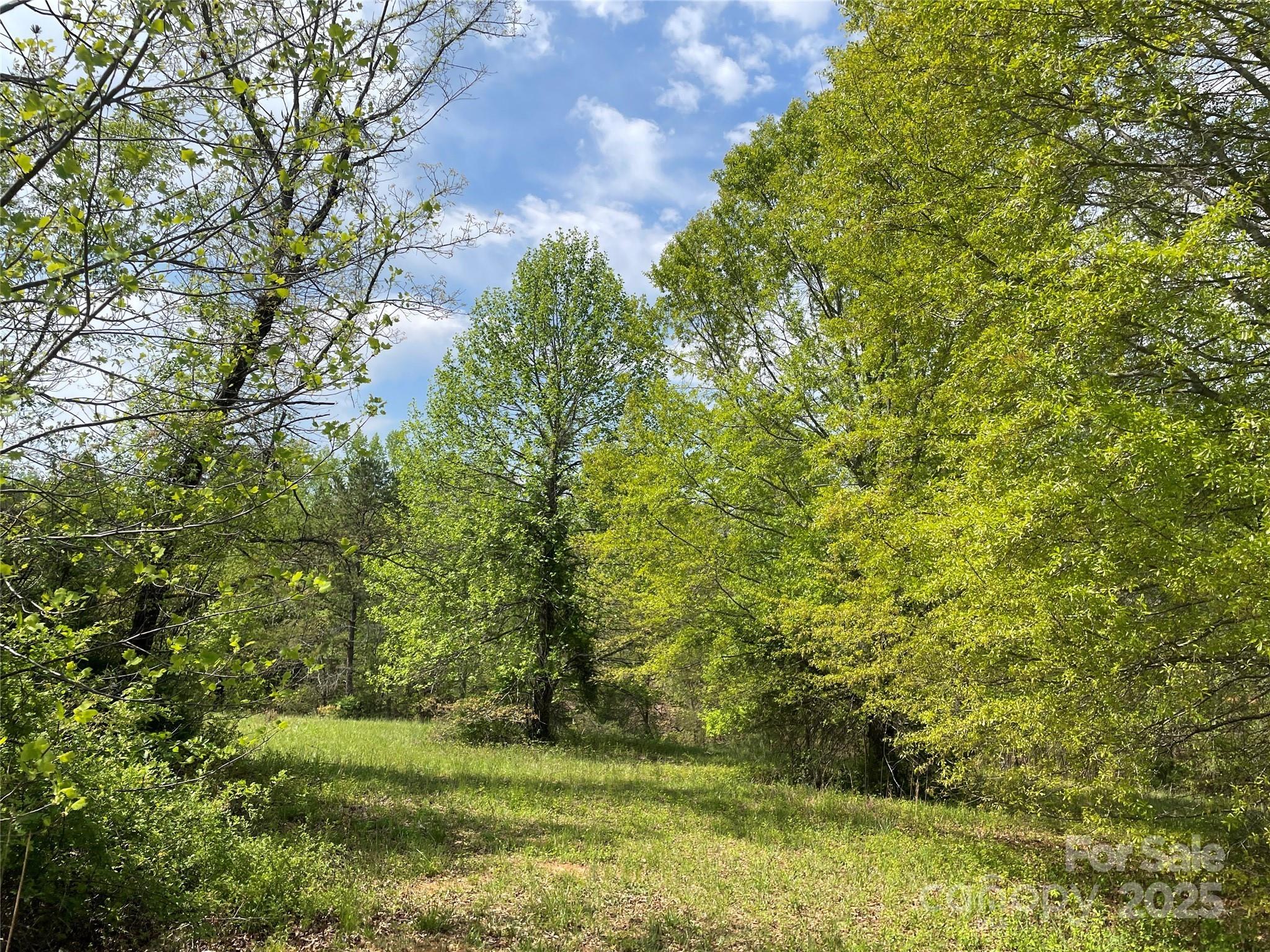 # 74 Driftwood Trail Unit: 74