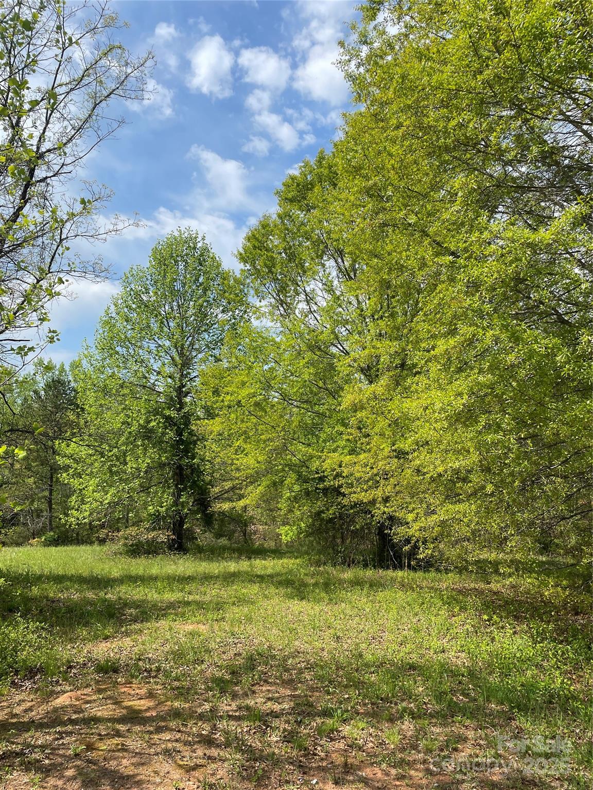 # 74 Driftwood Trail Unit: 74