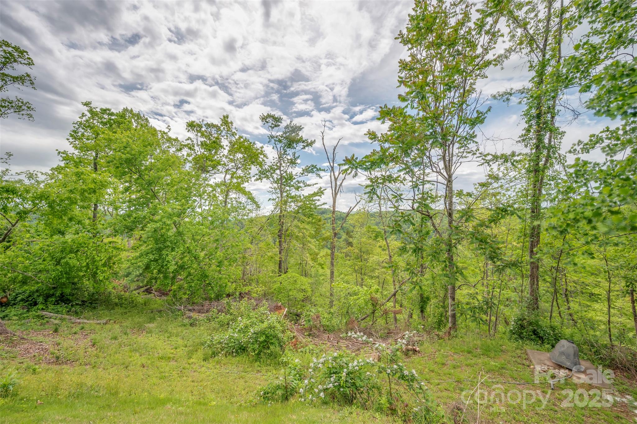 257 River Crest Drive