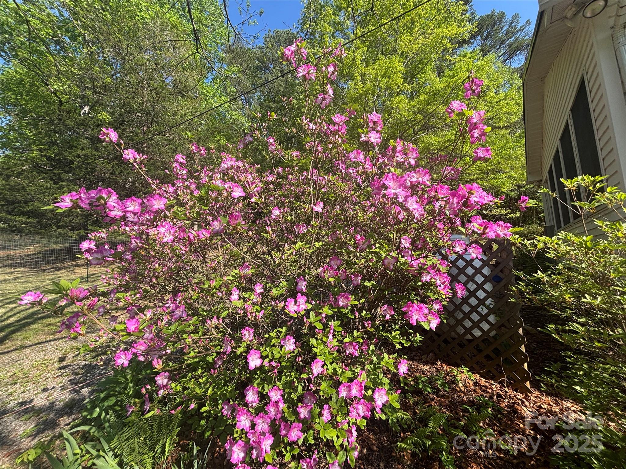 124 Beaverdam Loop Road