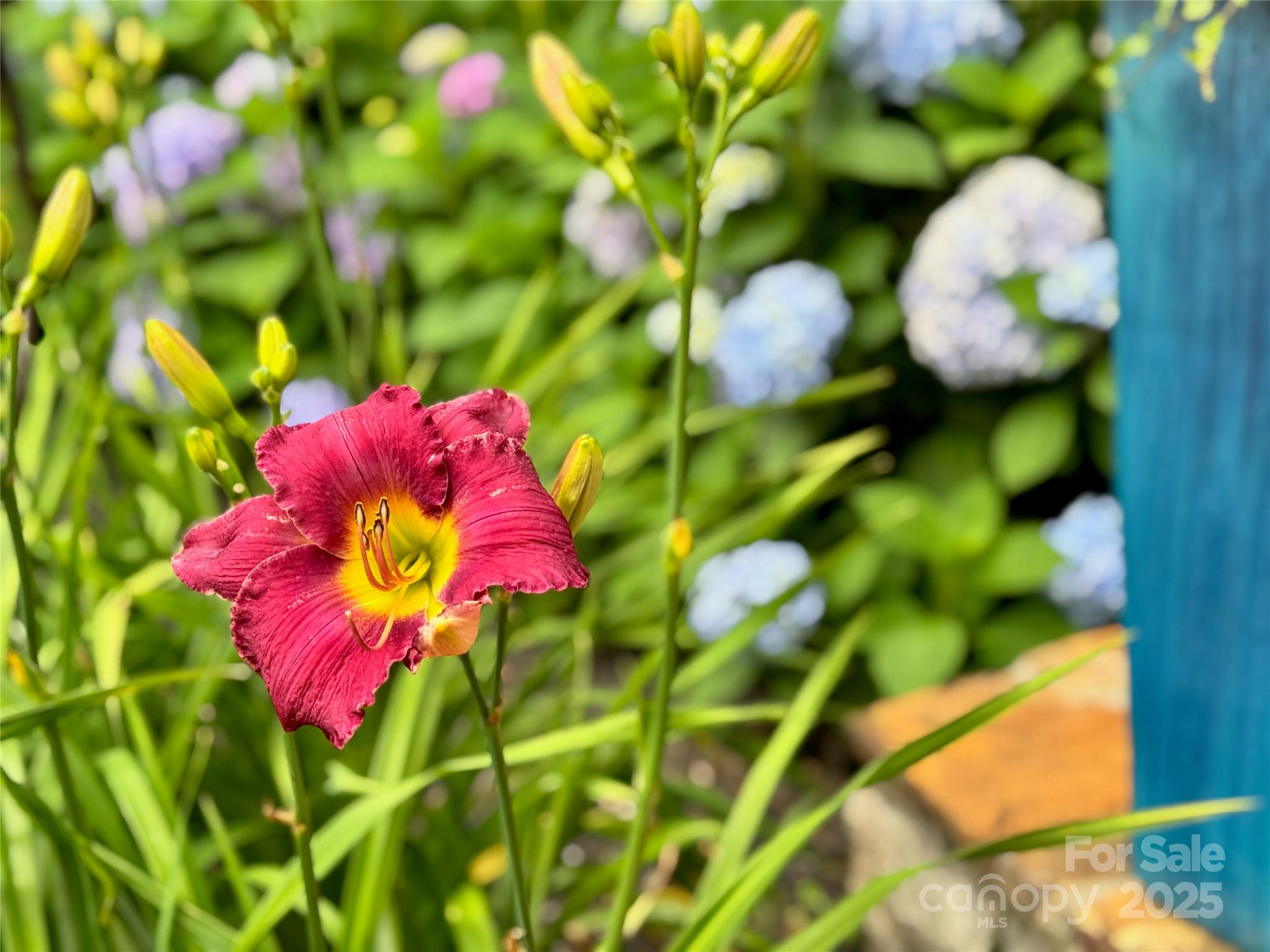 48 and 56 Chimney Crest Drive