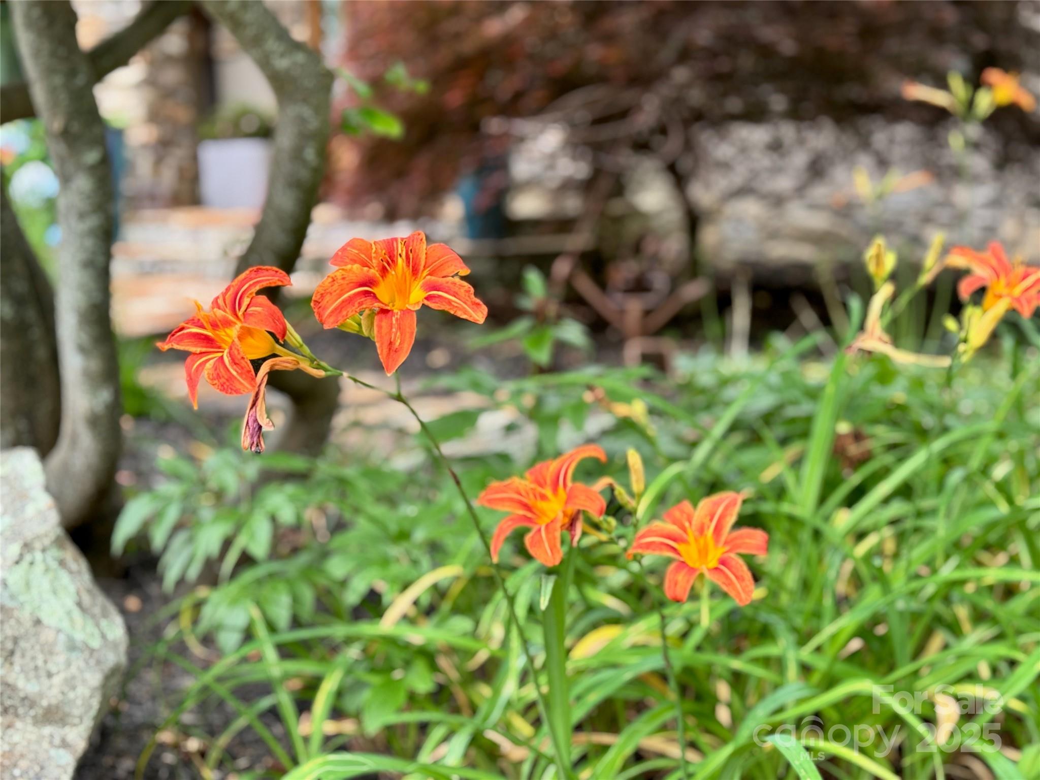 48 and 56 Chimney Crest Drive